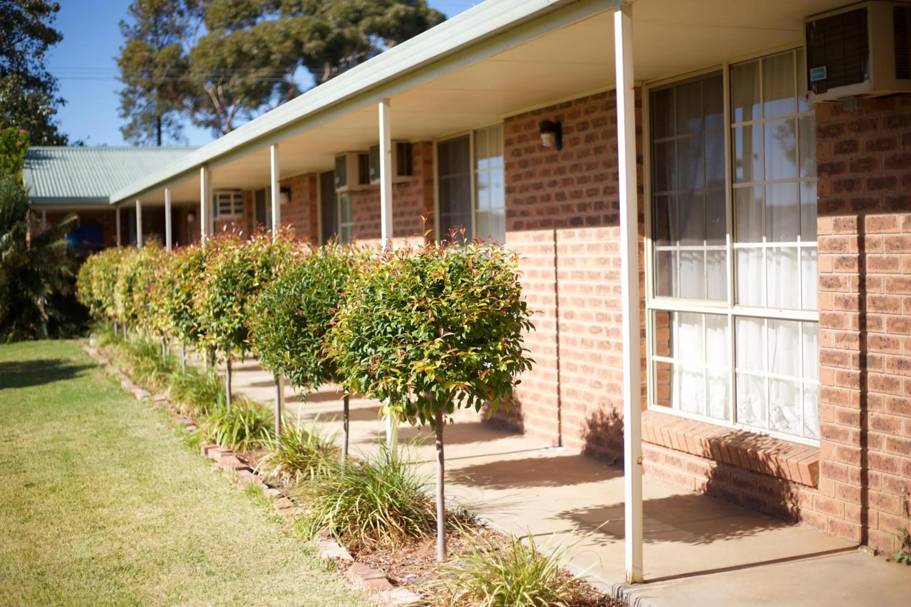 Garden in Balranald Colony Inn Motel
