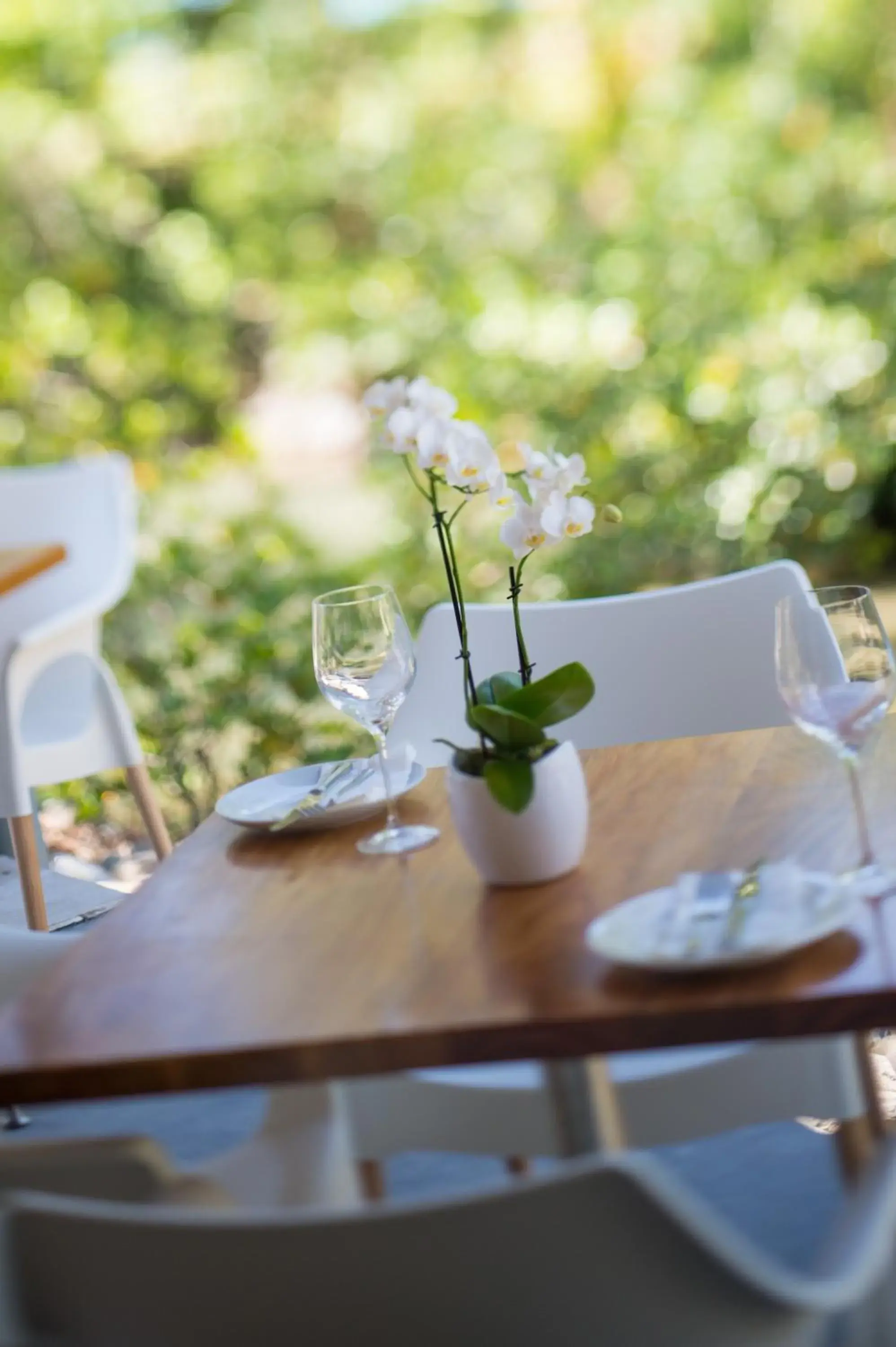 Restaurant/places to eat in Heart Hotel and Gallery Whitsundays Restaurant/places to eat in Heart Hotel and Gallery Whitsundays