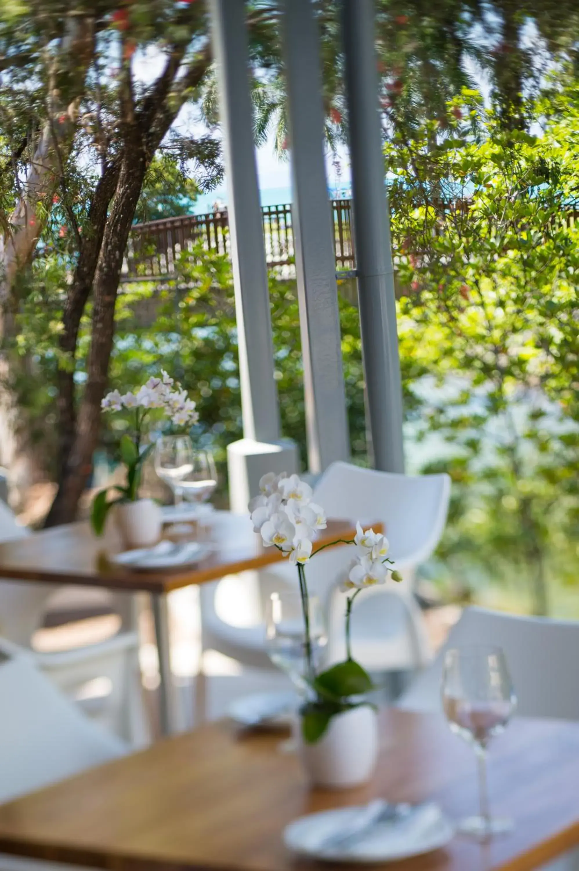 Restaurant/places to eat in Heart Hotel and Gallery Whitsundays Restaurant/places to eat in Heart Hotel and Gallery Whitsundays