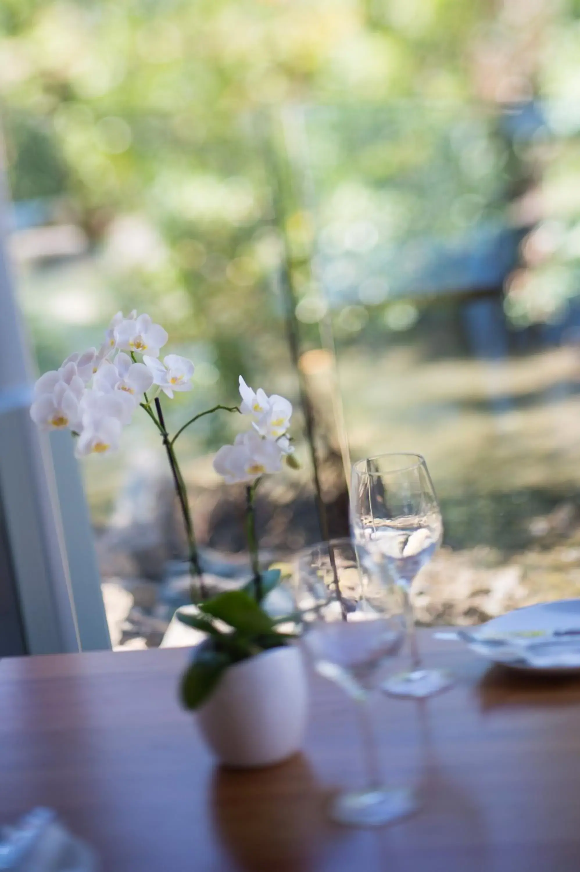 Restaurant/places to eat in Heart Hotel and Gallery Whitsundays Restaurant/places to eat in Heart Hotel and Gallery Whitsundays