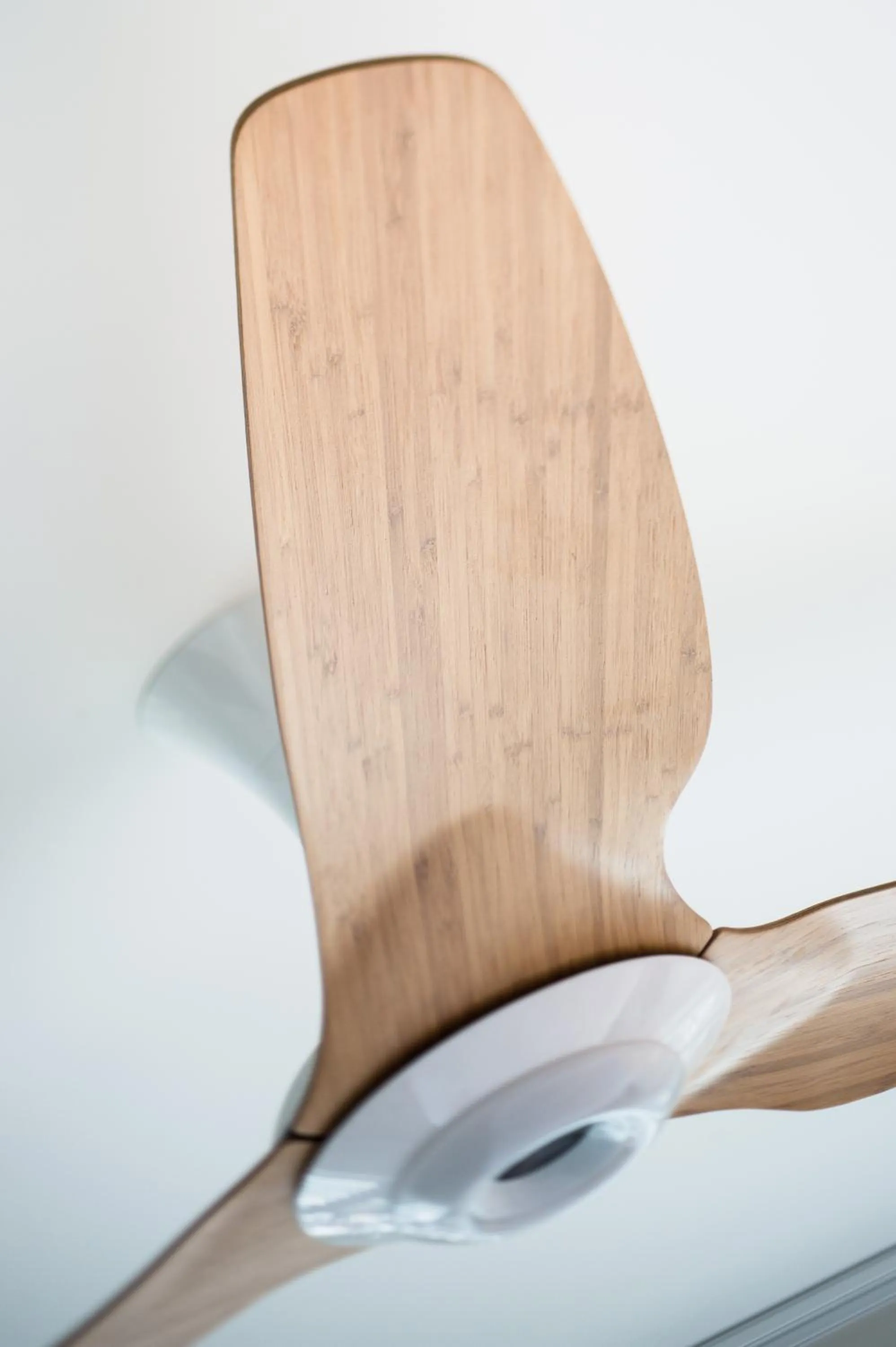 Decorative detail in Heart Hotel and Gallery Whitsundays