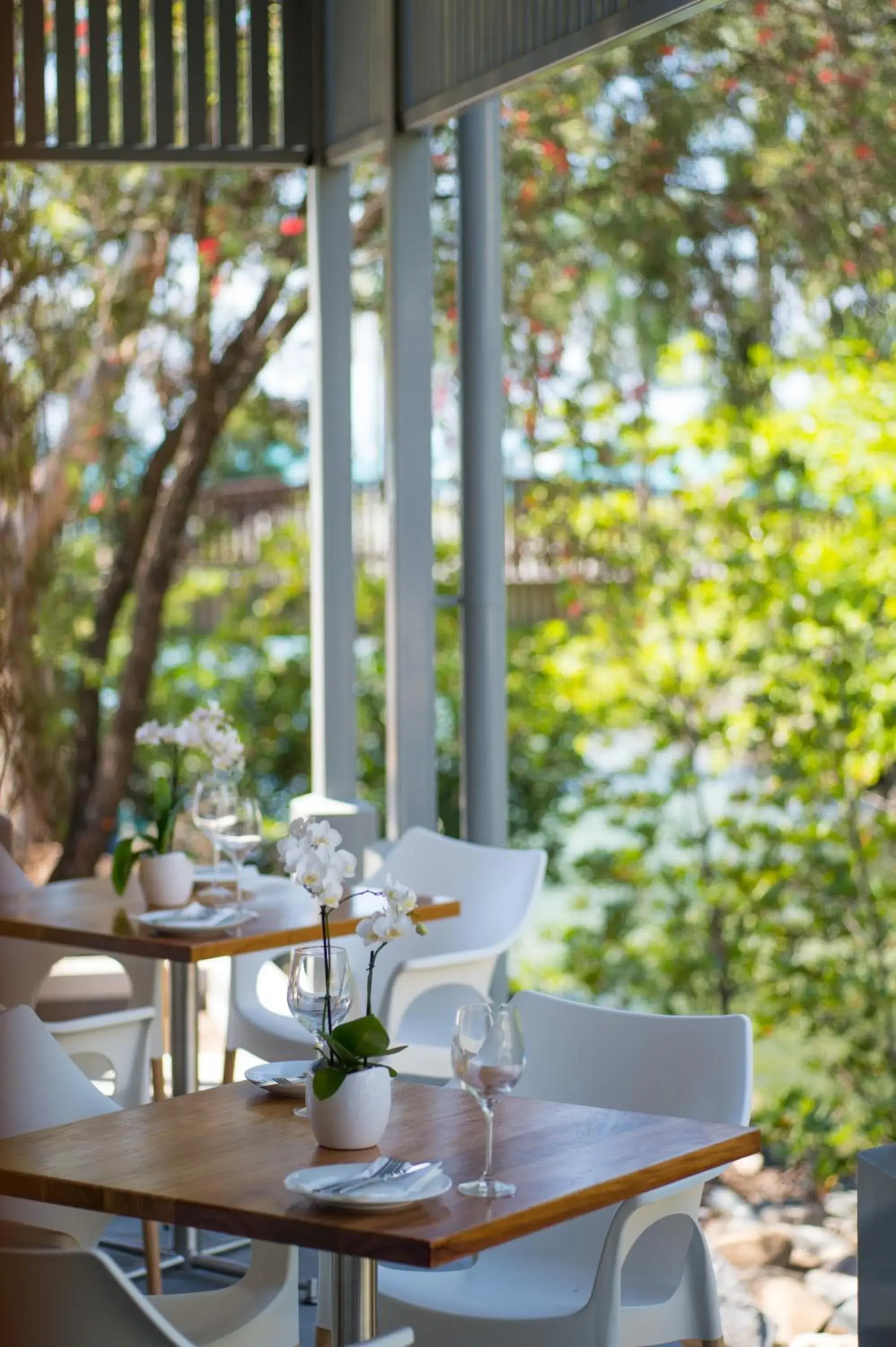 Restaurant/places to eat in Heart Hotel and Gallery Whitsundays Restaurant/places to eat in Heart Hotel and Gallery Whitsundays