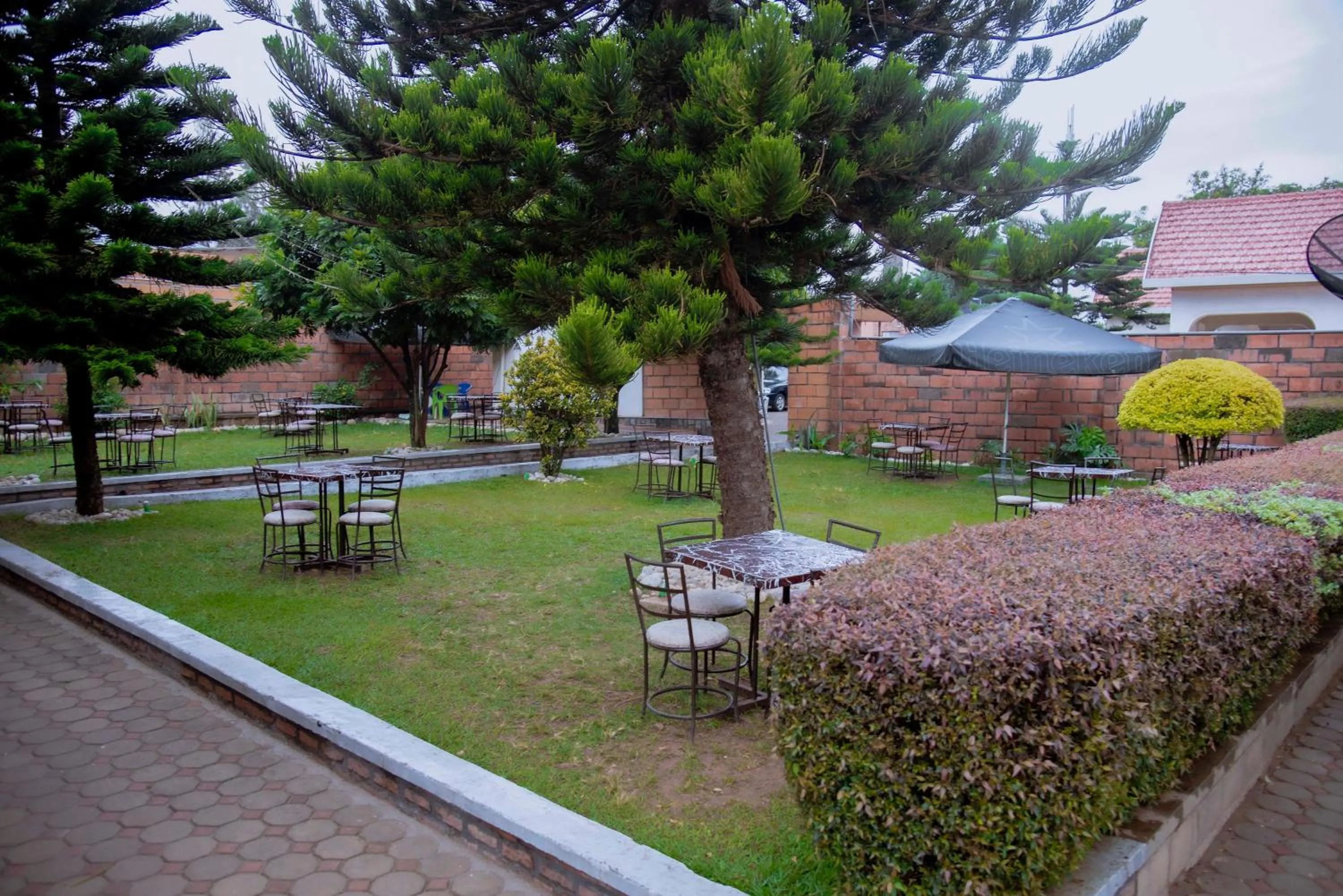 Garden in Martin Aviator Hotel