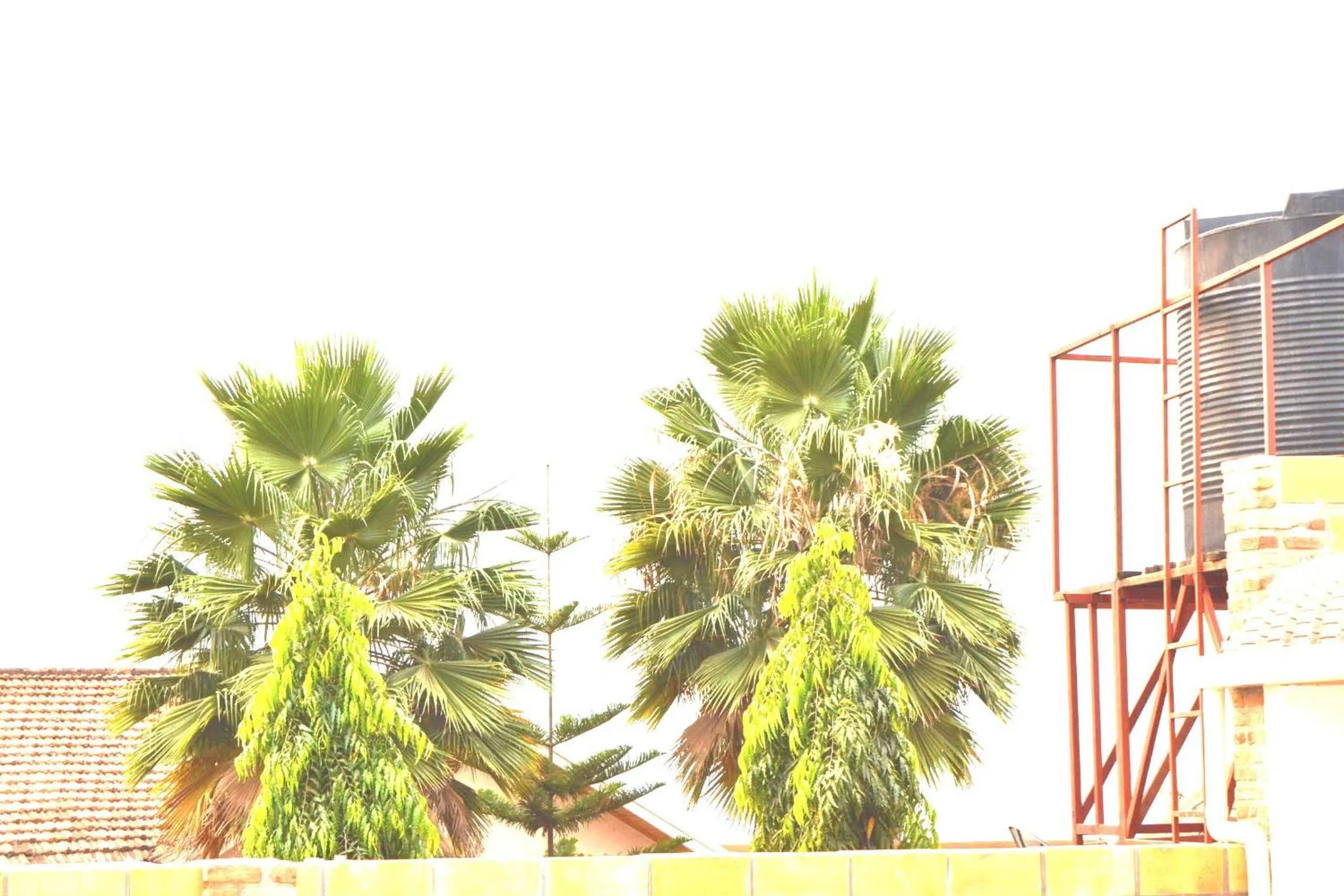 City view in Martin Aviator Hotel