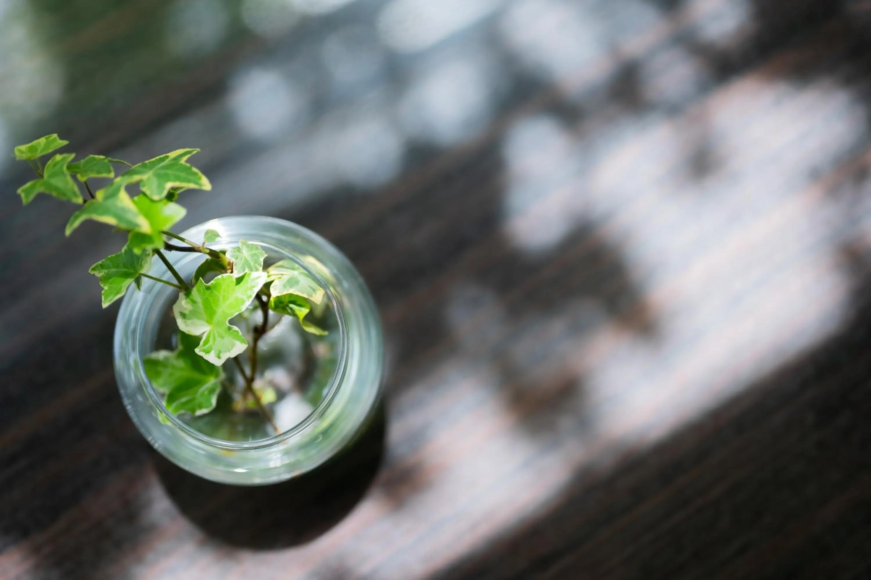 Banquet/Function facilities in Resort Hotel Moana Coast