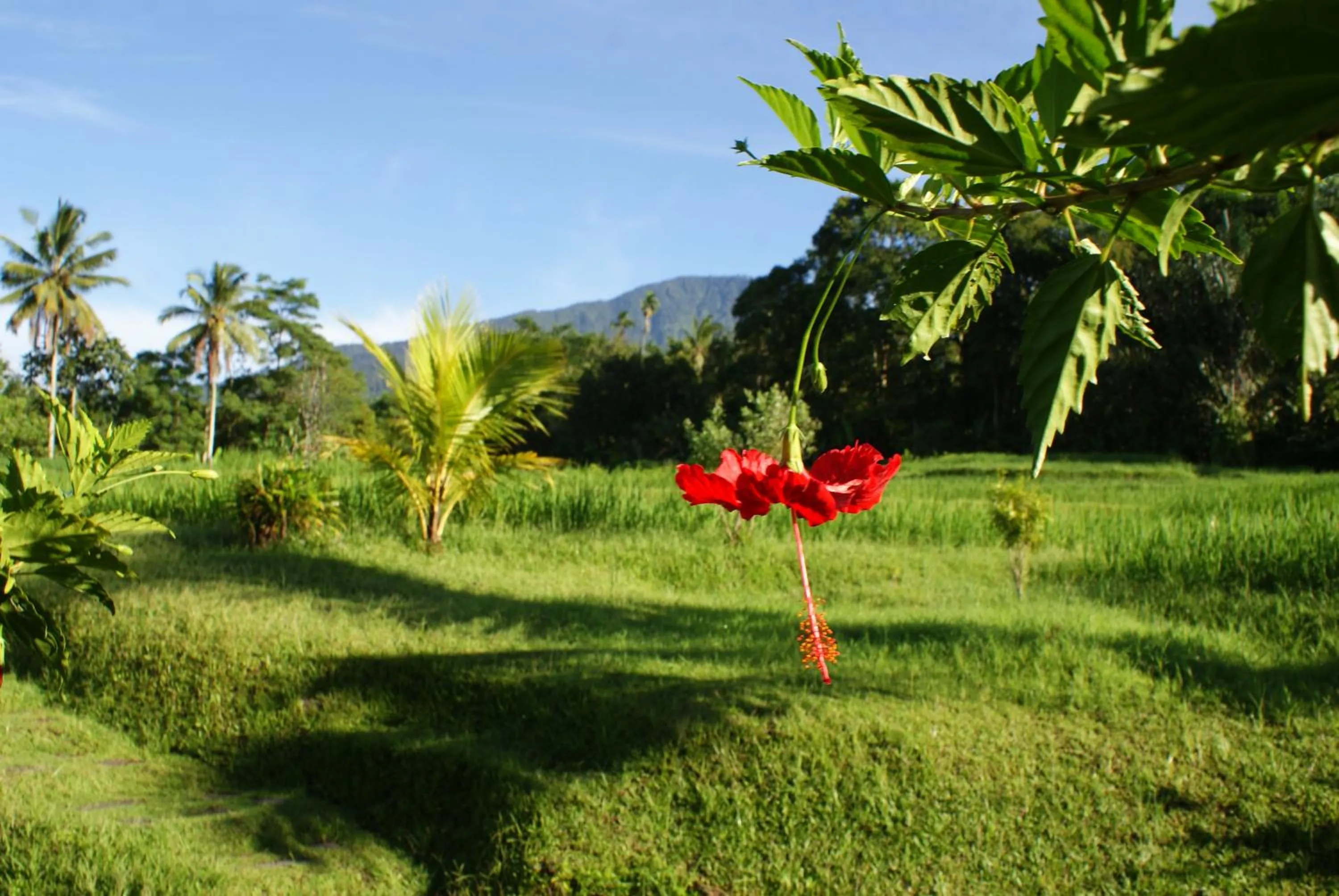 Day in Prana Dewi Mountain Resort