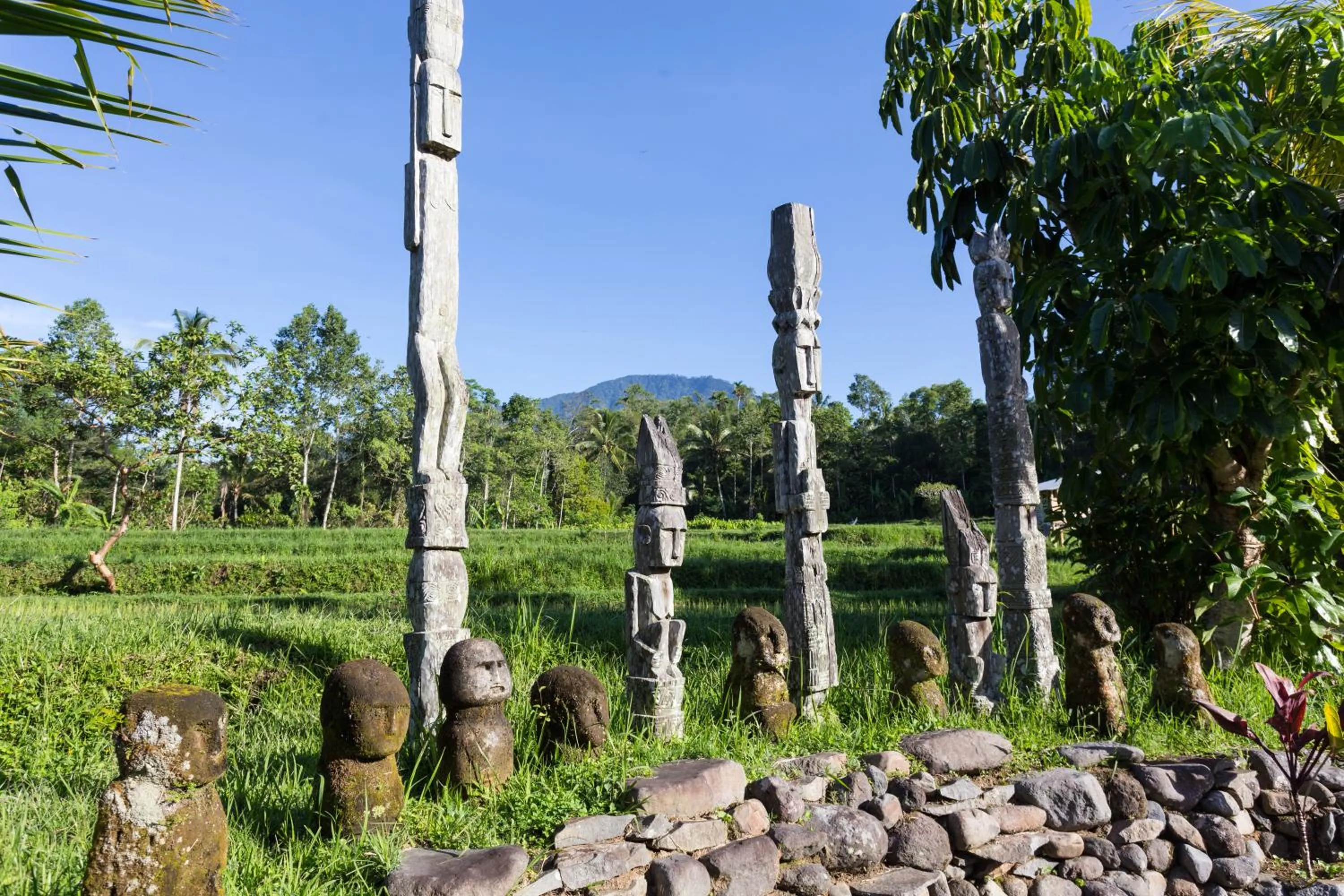 Natural landscape in Prana Dewi Mountain Resort