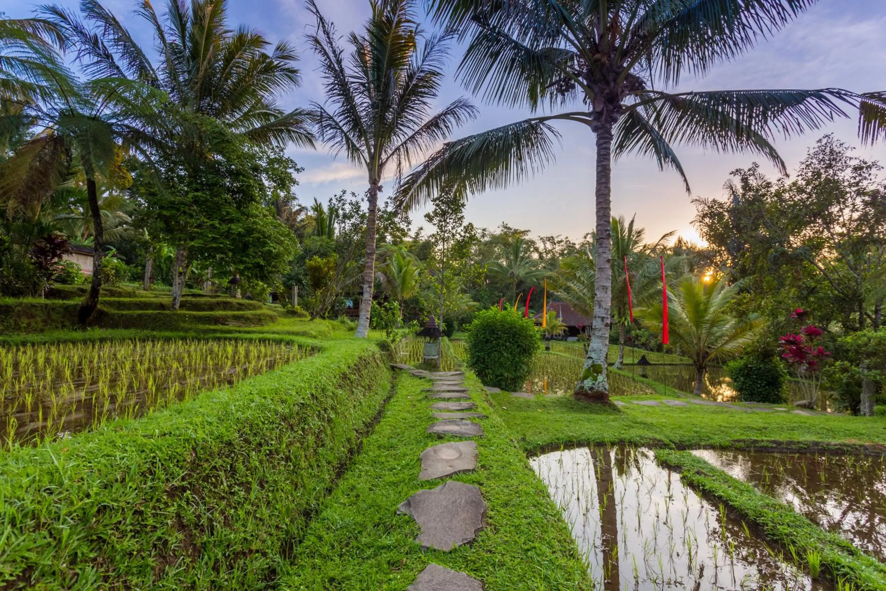 Day in Prana Dewi Mountain Resort