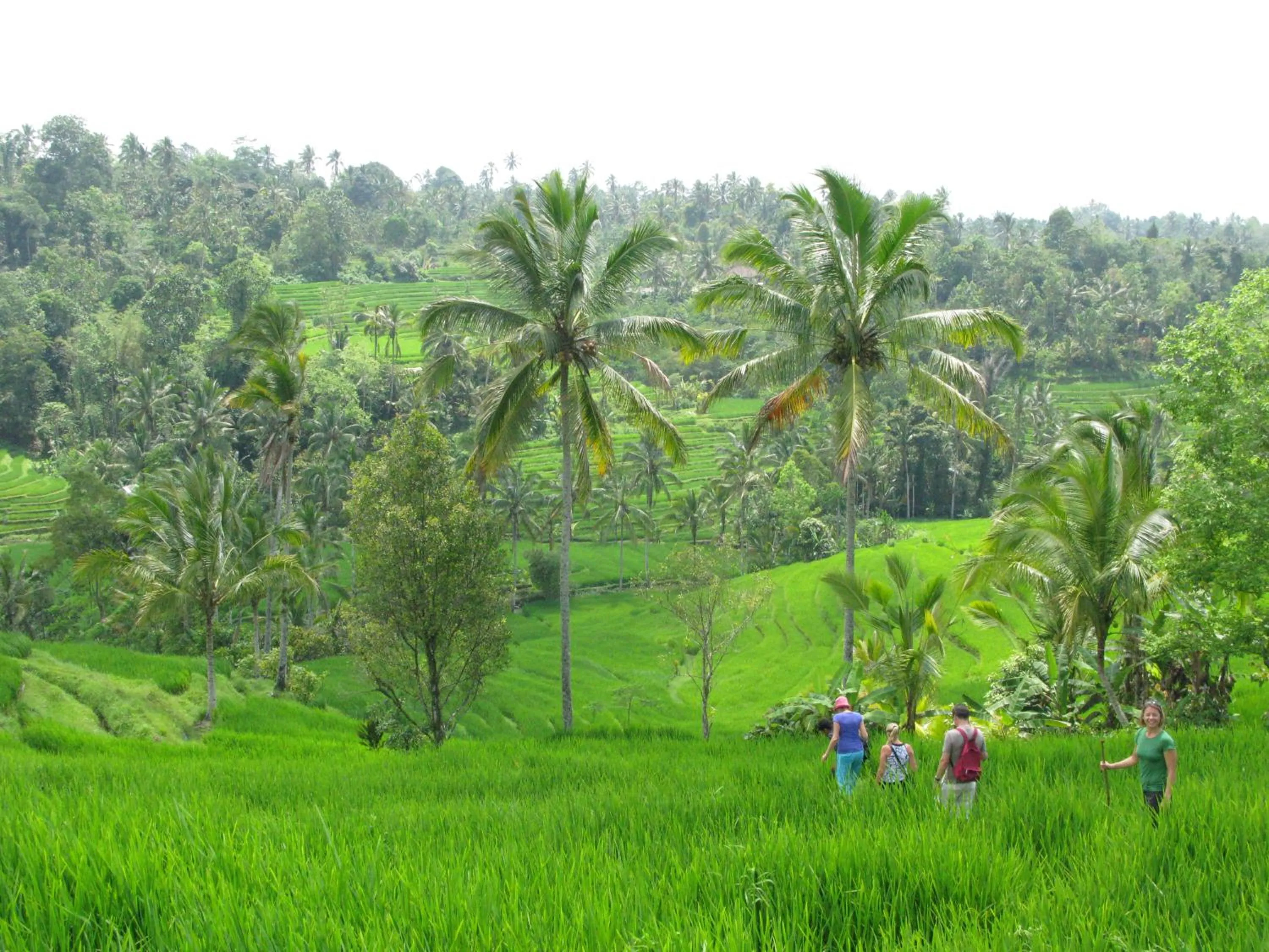 Hiking in Prana Dewi Mountain Resort