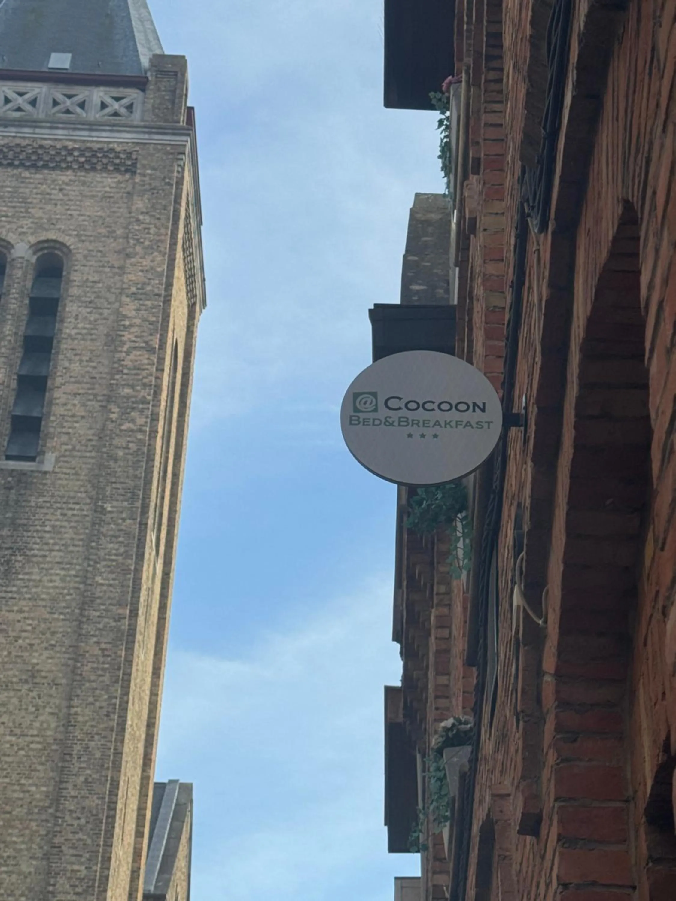 Property logo or sign in @Cocoon