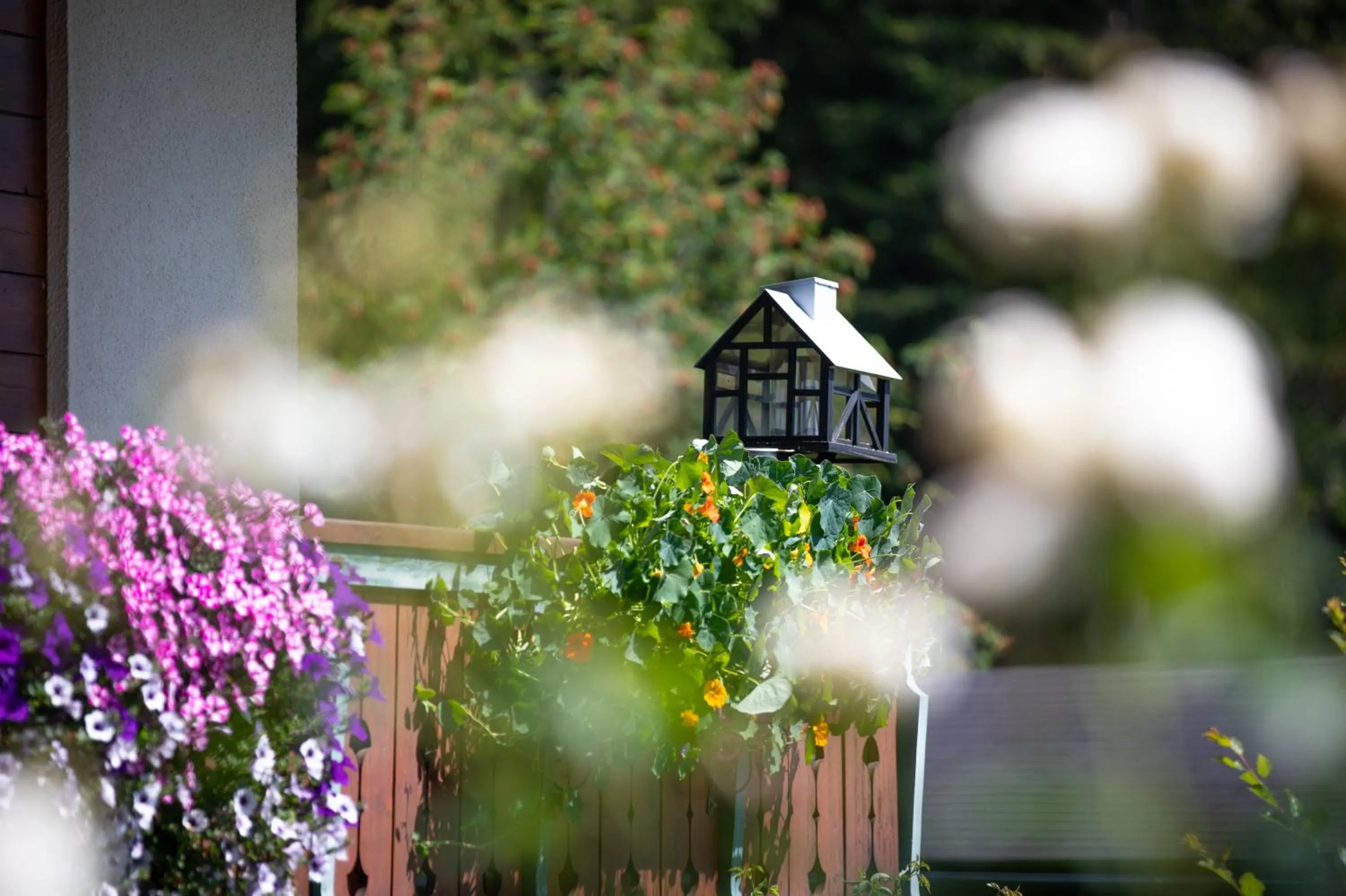 Property building in Alpenhof