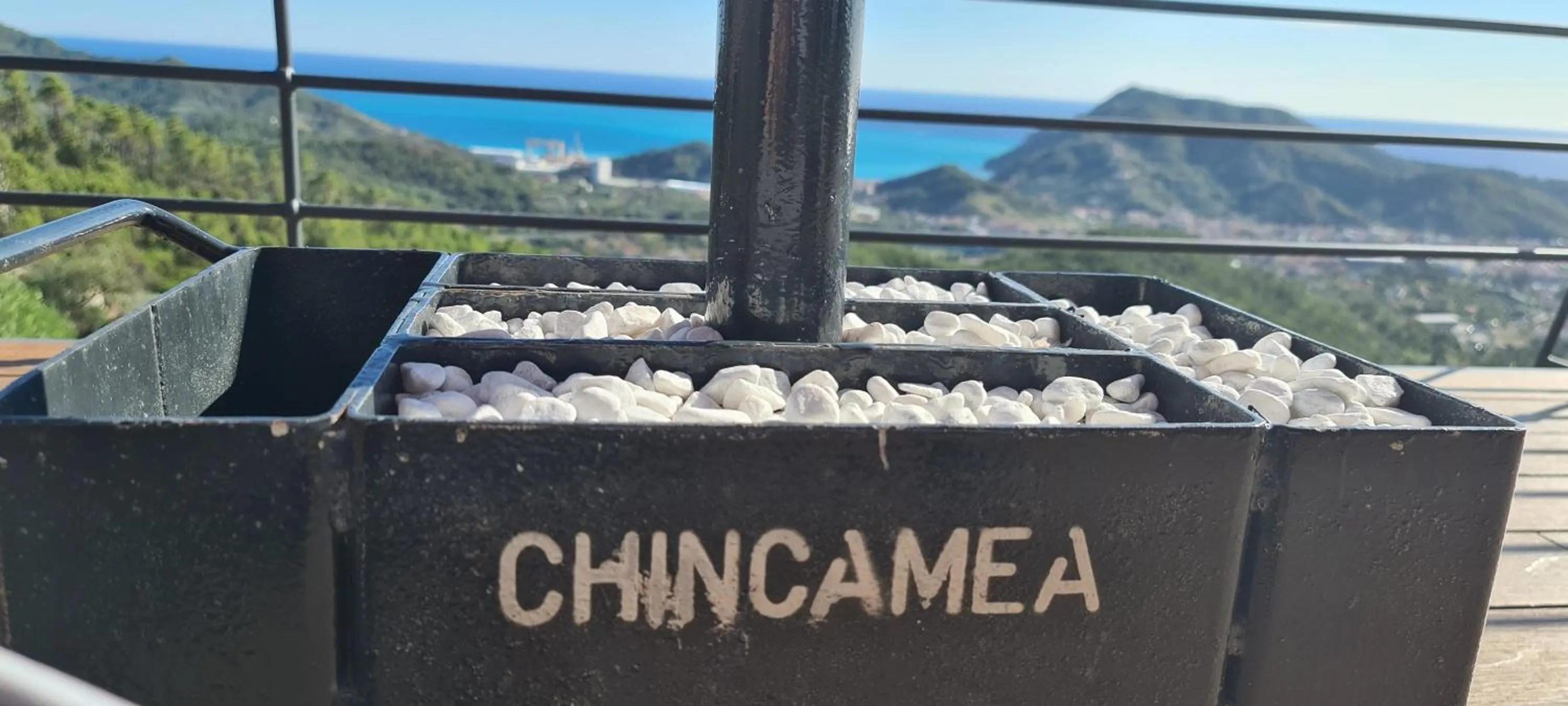 Chincamea