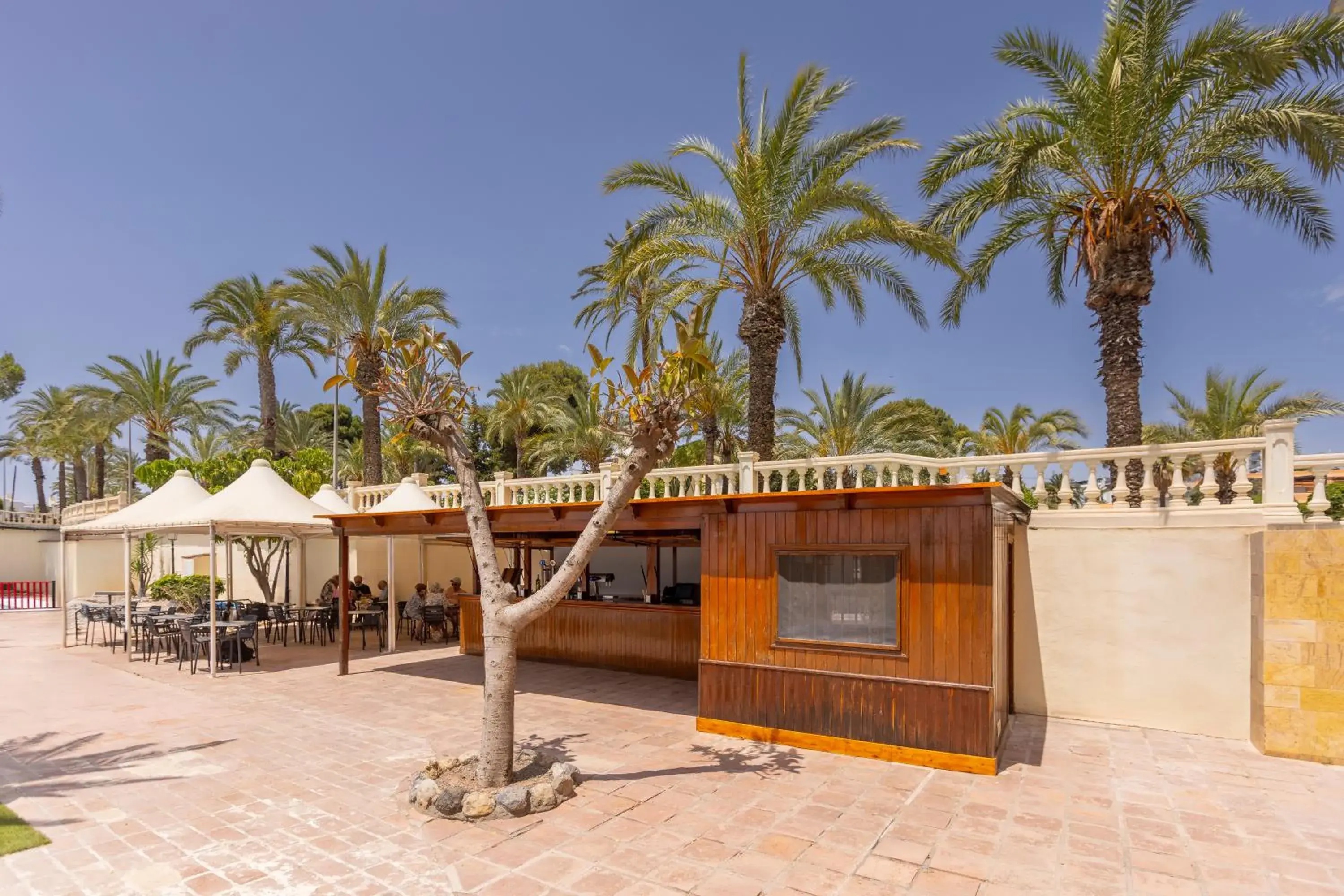 Swimming pool in Hotel Moon Dreams Portomagno Swimming pool in Hotel Moon Dreams Portomagno