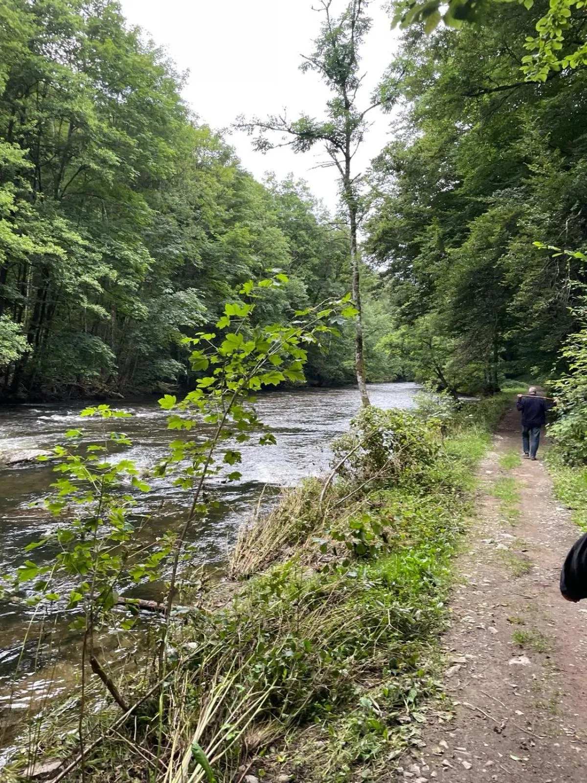 Natural landscape in La Reduiste