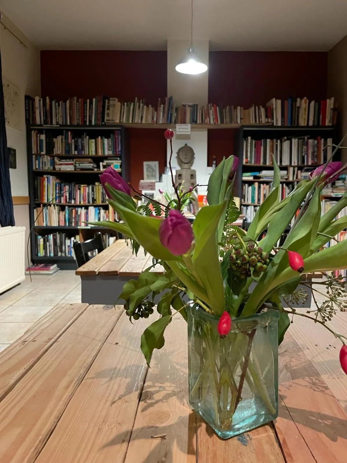 Library in La Reduiste