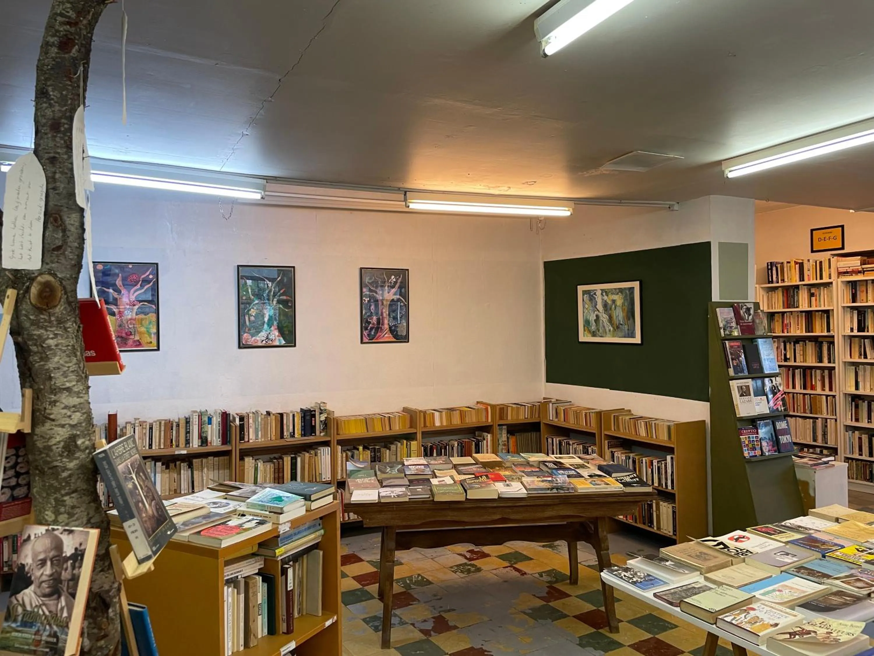 Library in La Reduiste