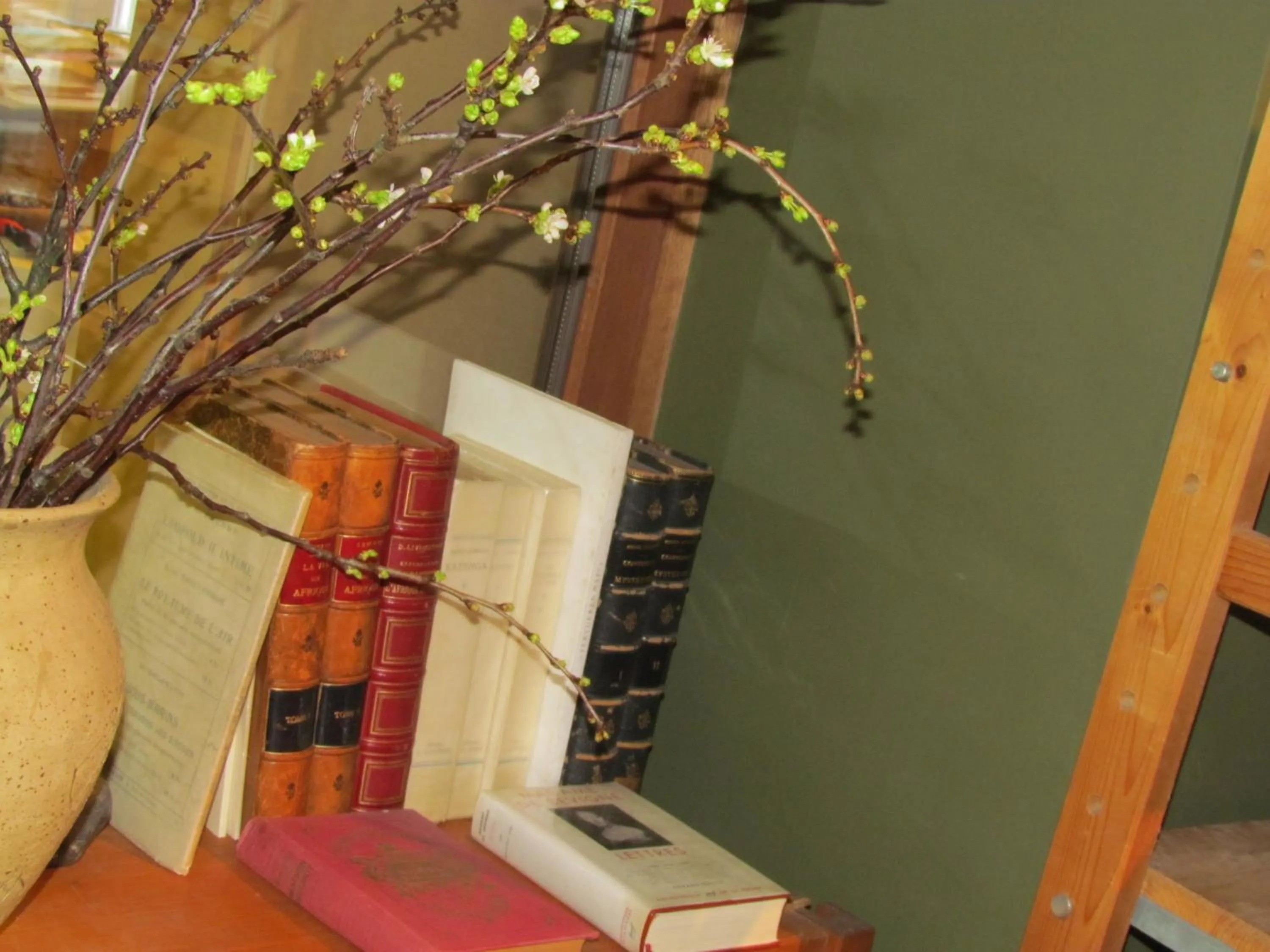 Library in La Reduiste