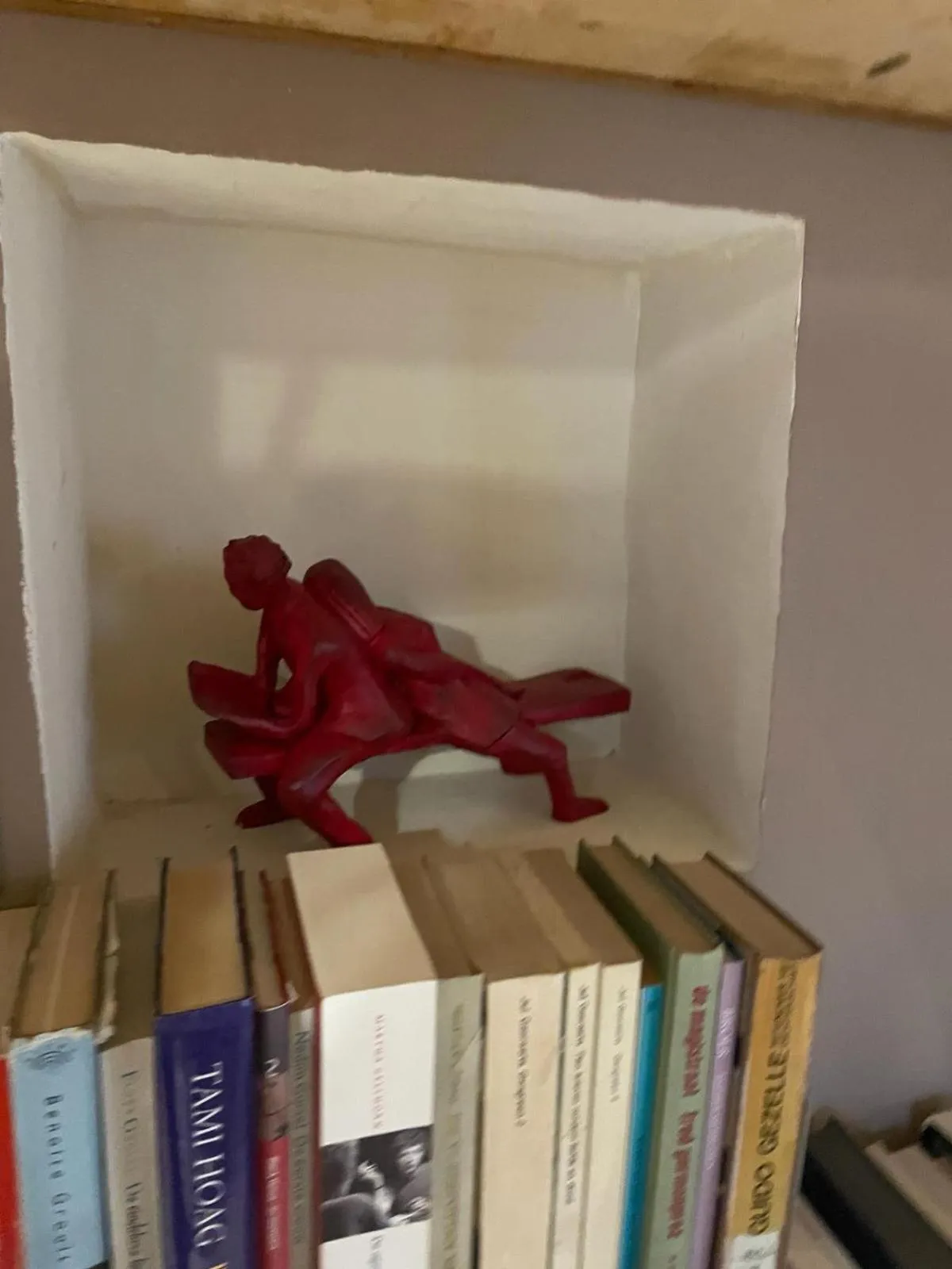 Library in La Reduiste