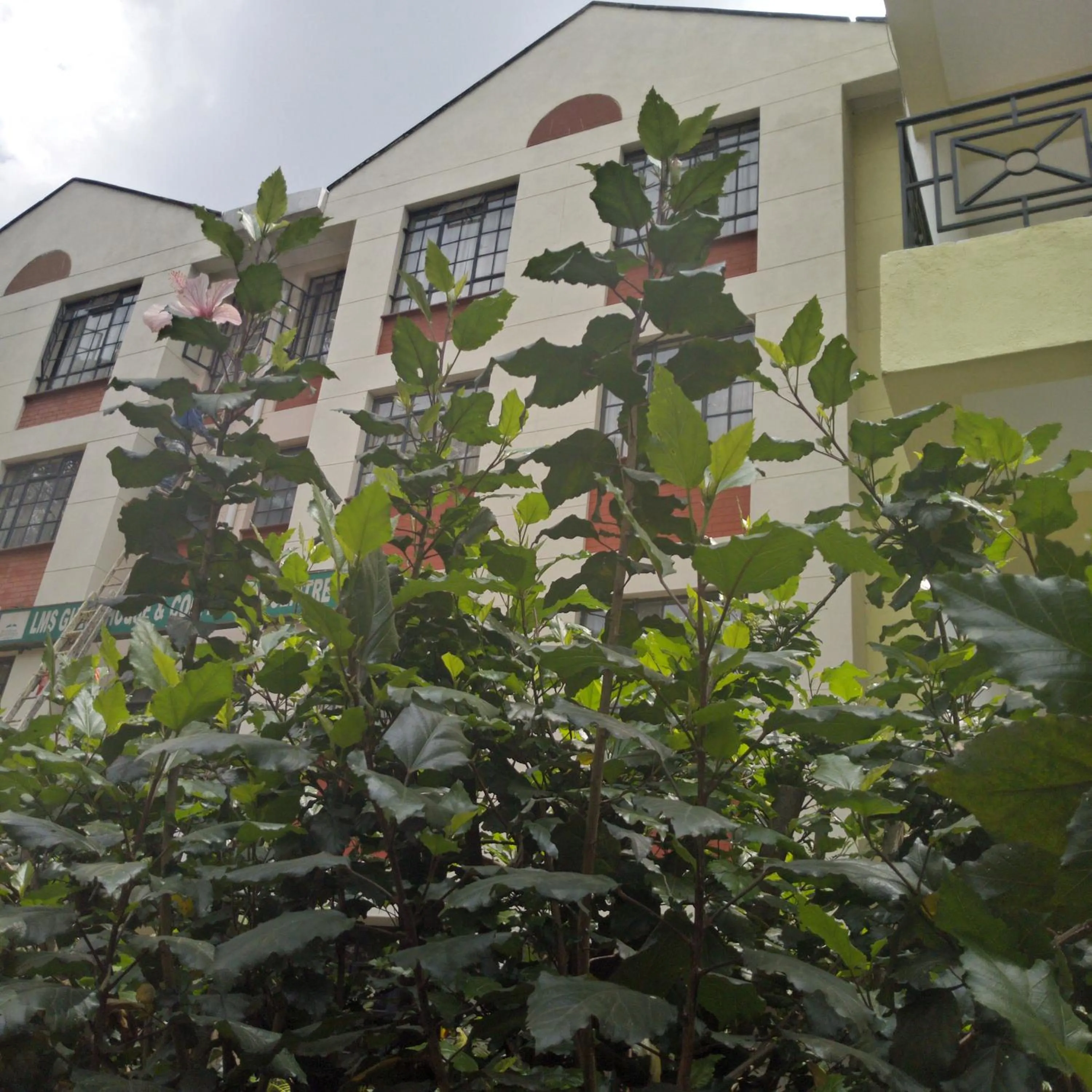 Area and facilities in Adventist LMS Guest House & Conference Centre