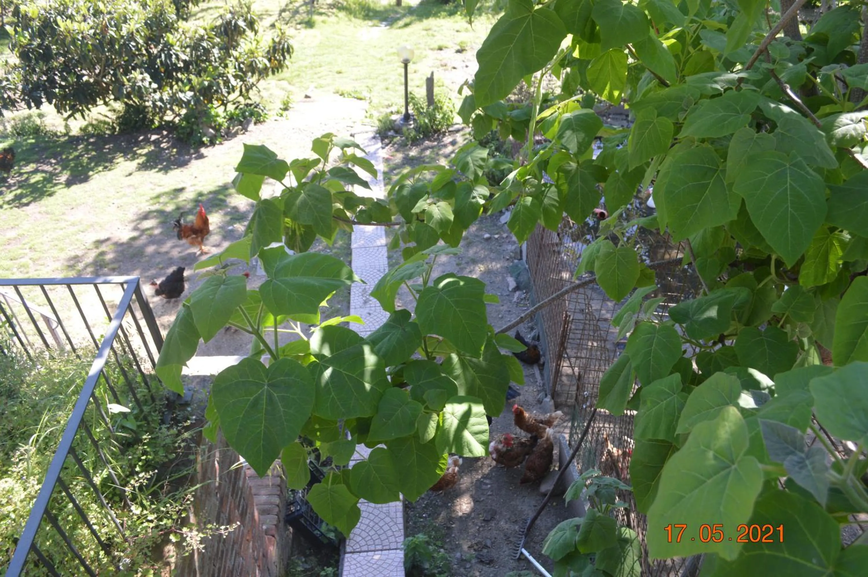 B&B Cascina Bedria