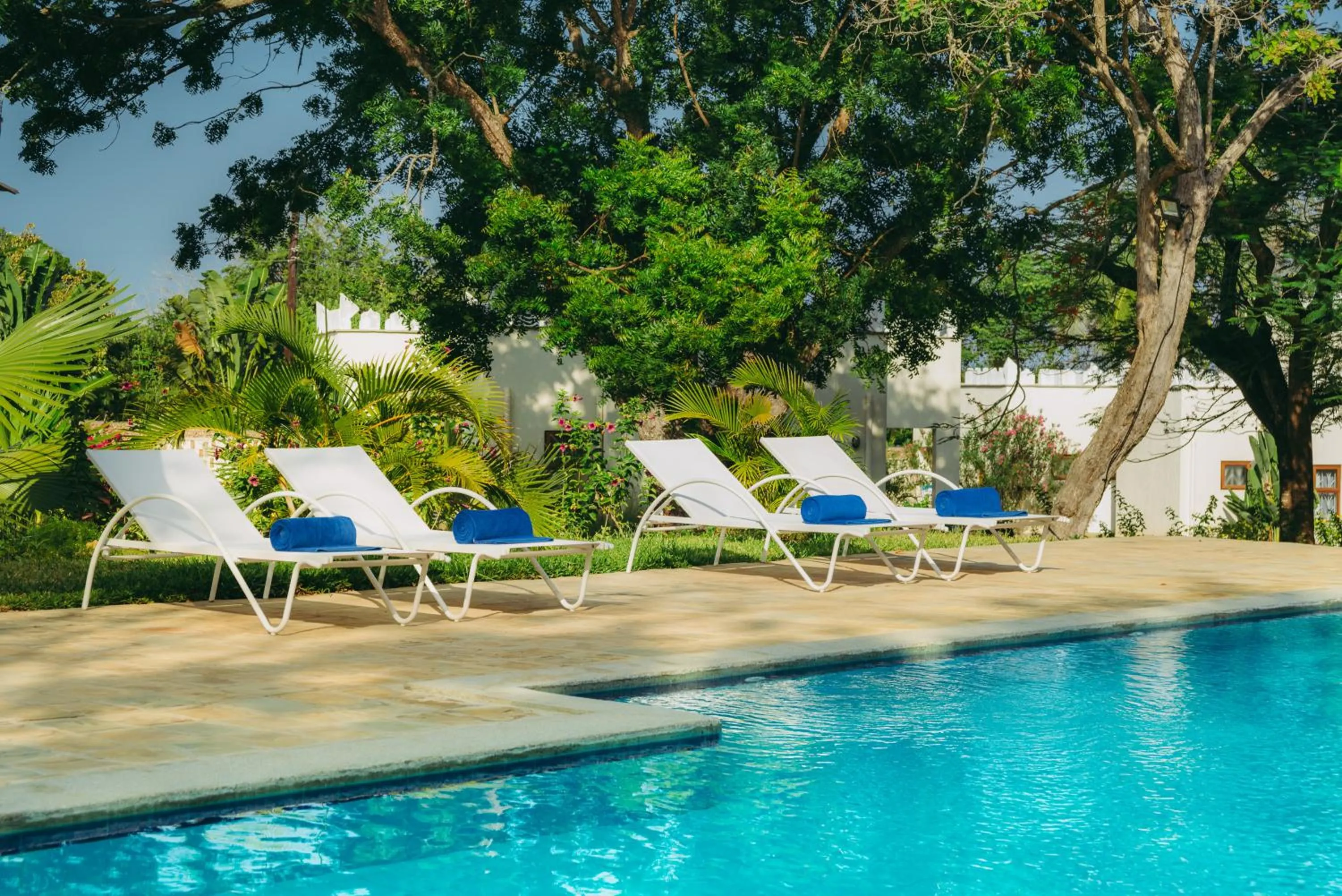 Swimming pool in The Zubeida Boutique Resort