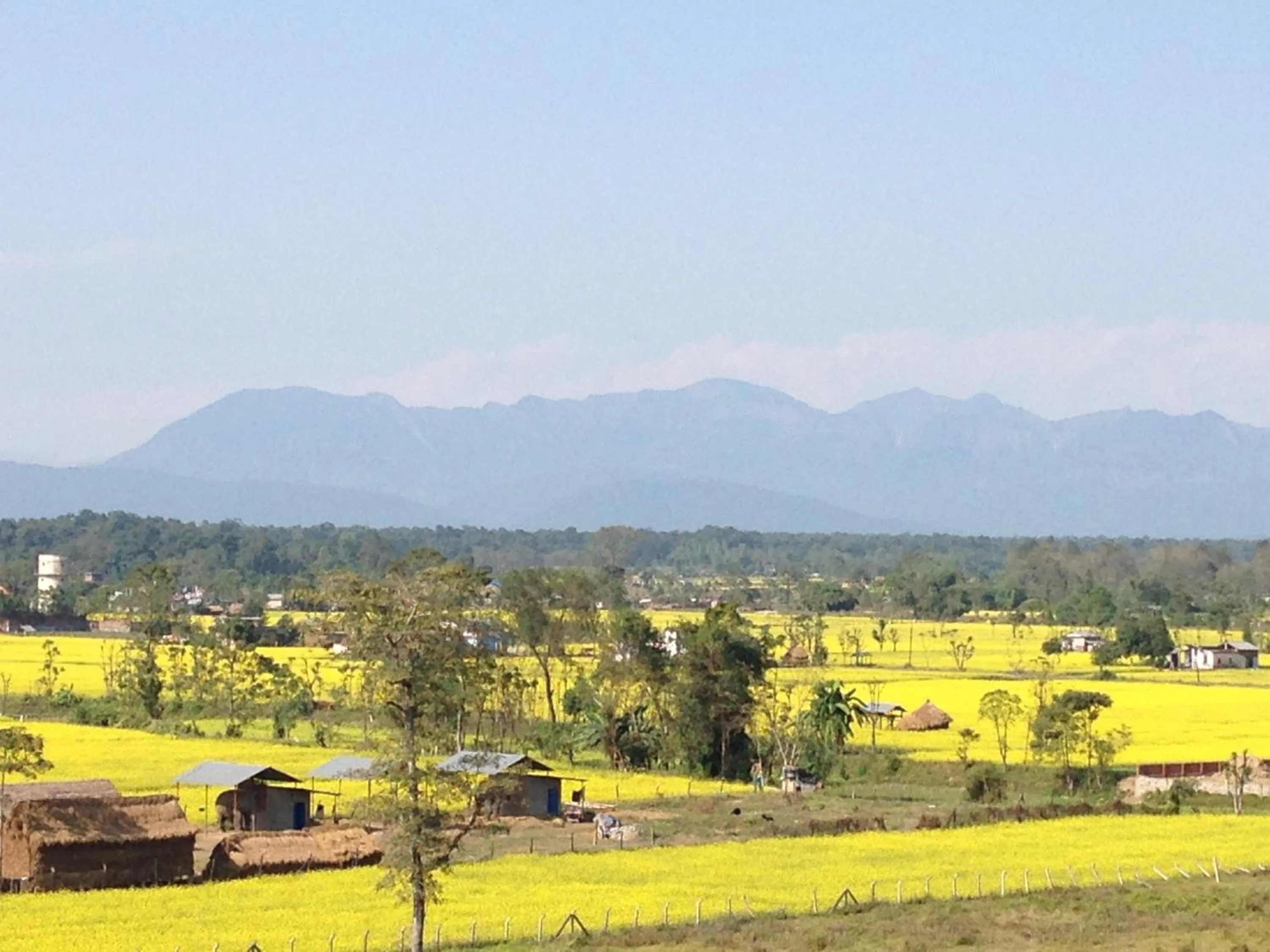 Other in Chautari Garden Resort