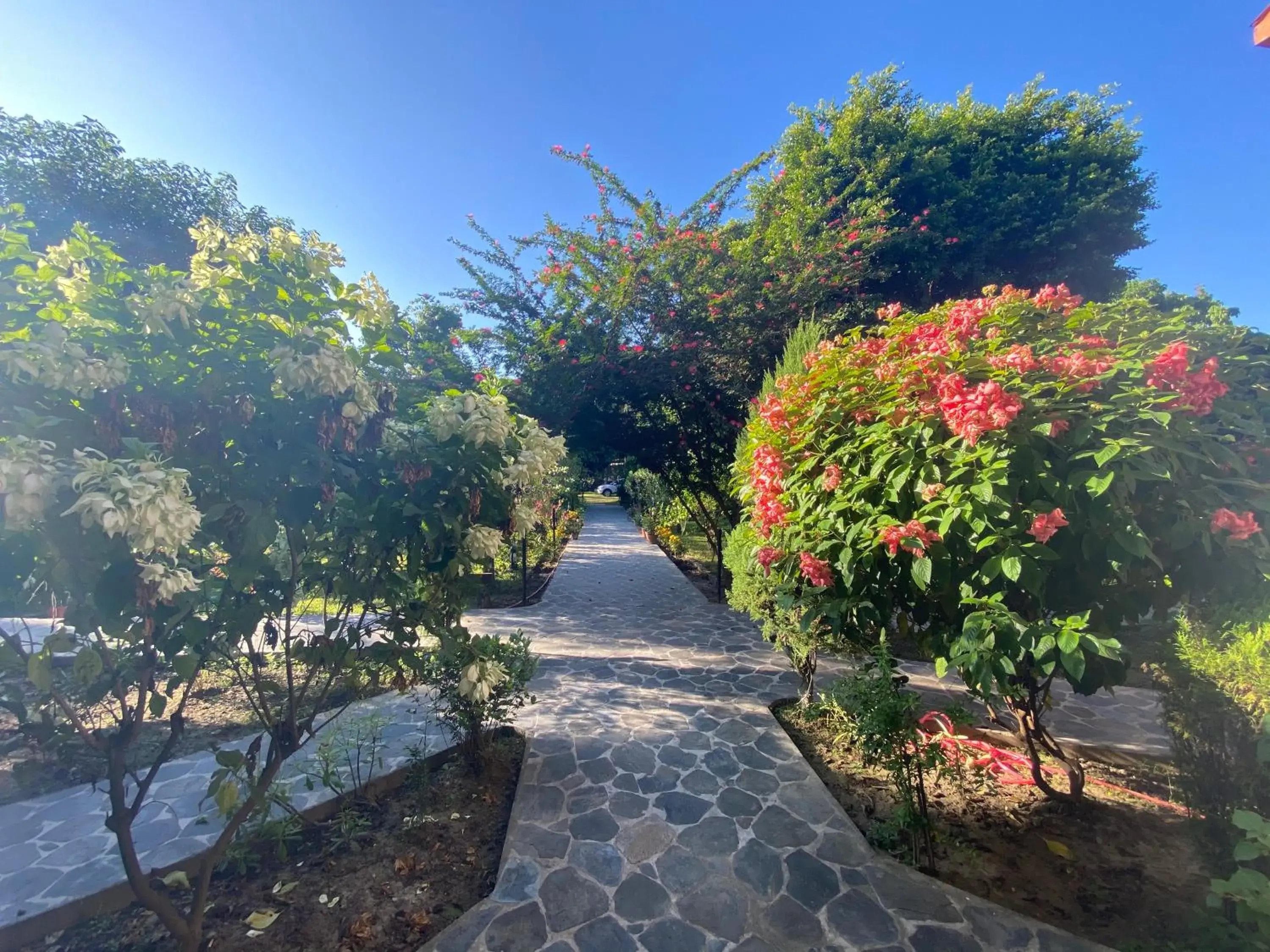 Garden view in Chautari Garden Resort Garden view in Chautari Garden Resort