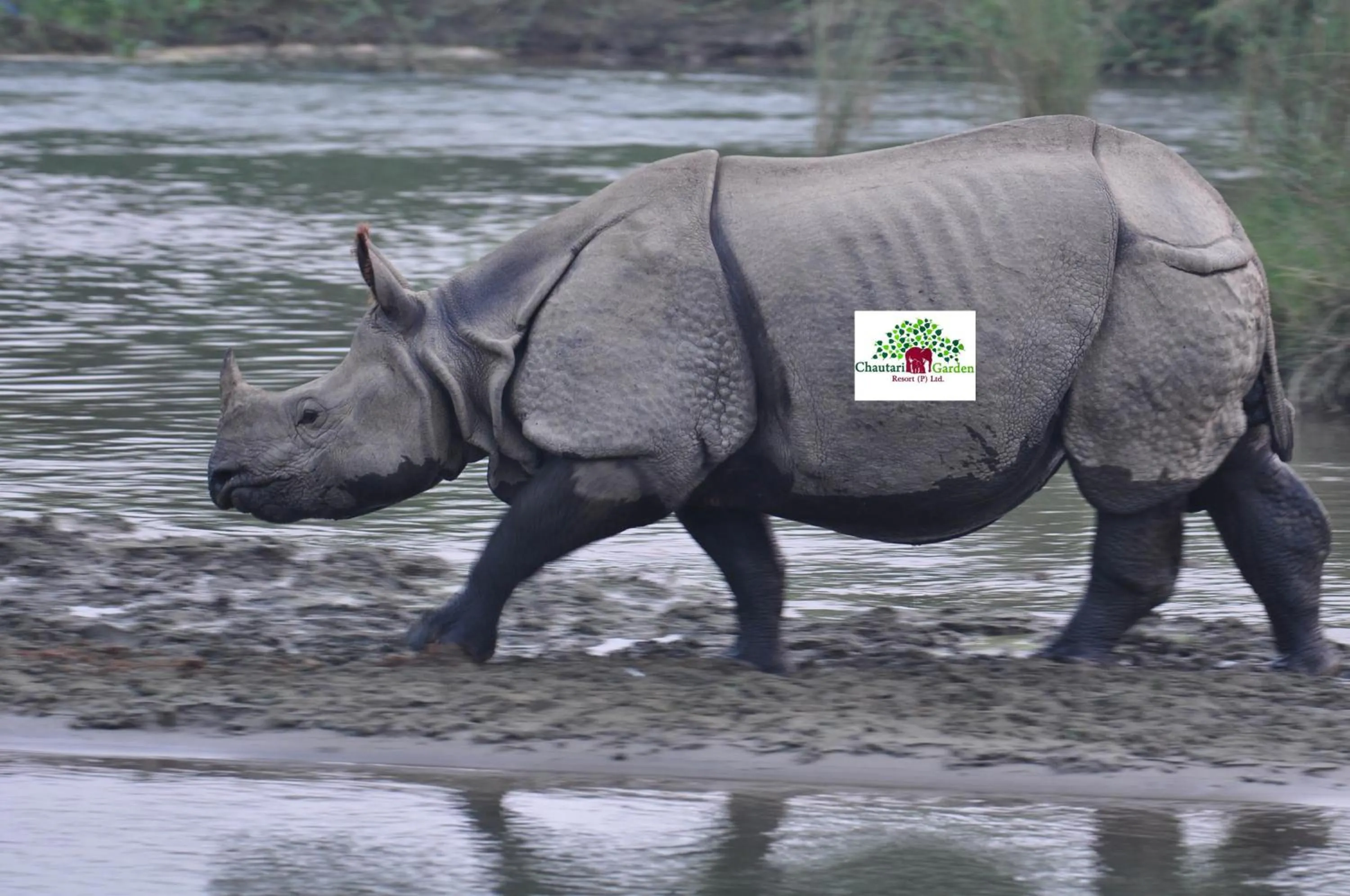 Activities in Chautari Garden Resort