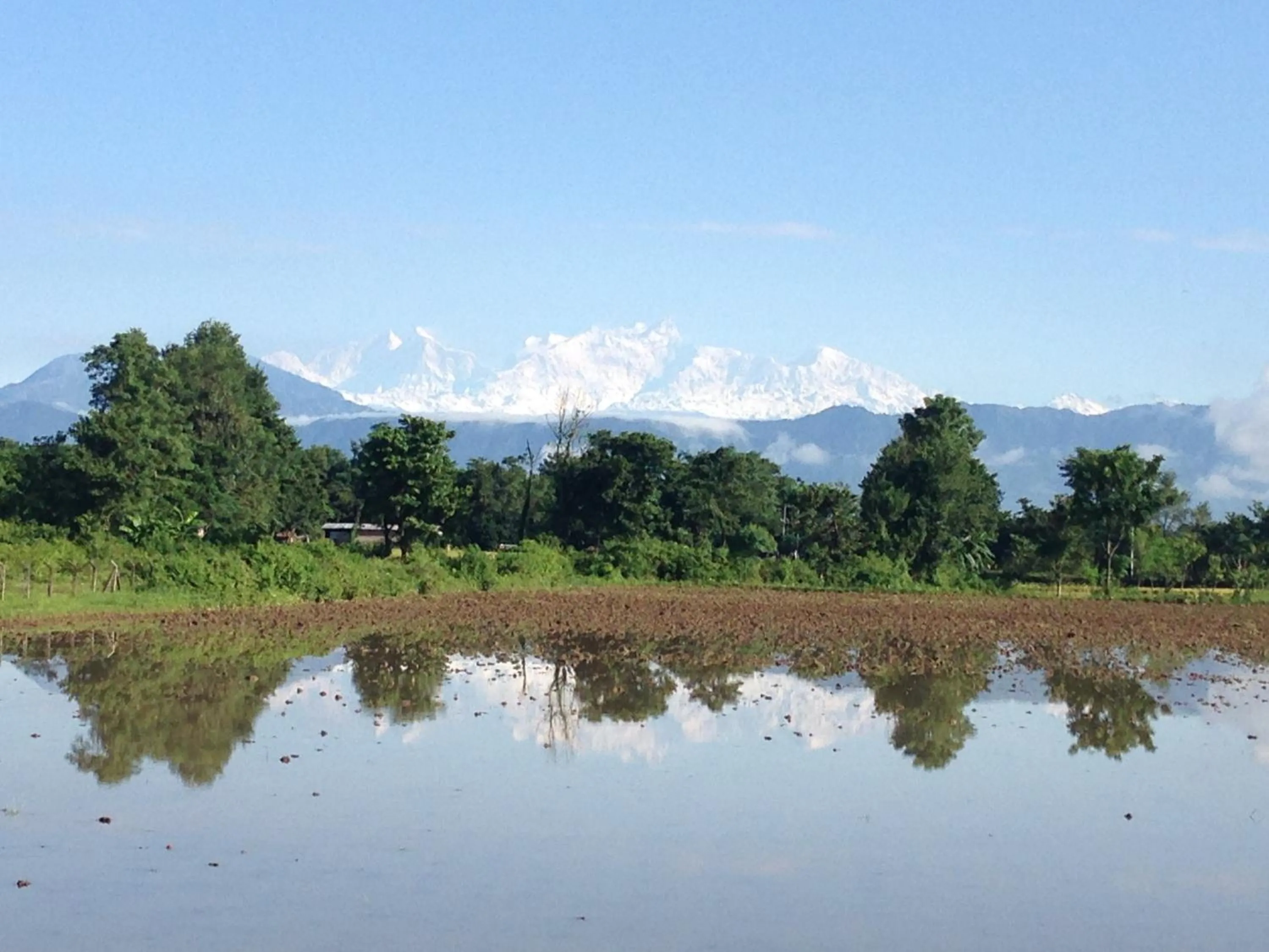 Day in Chautari Garden Resort