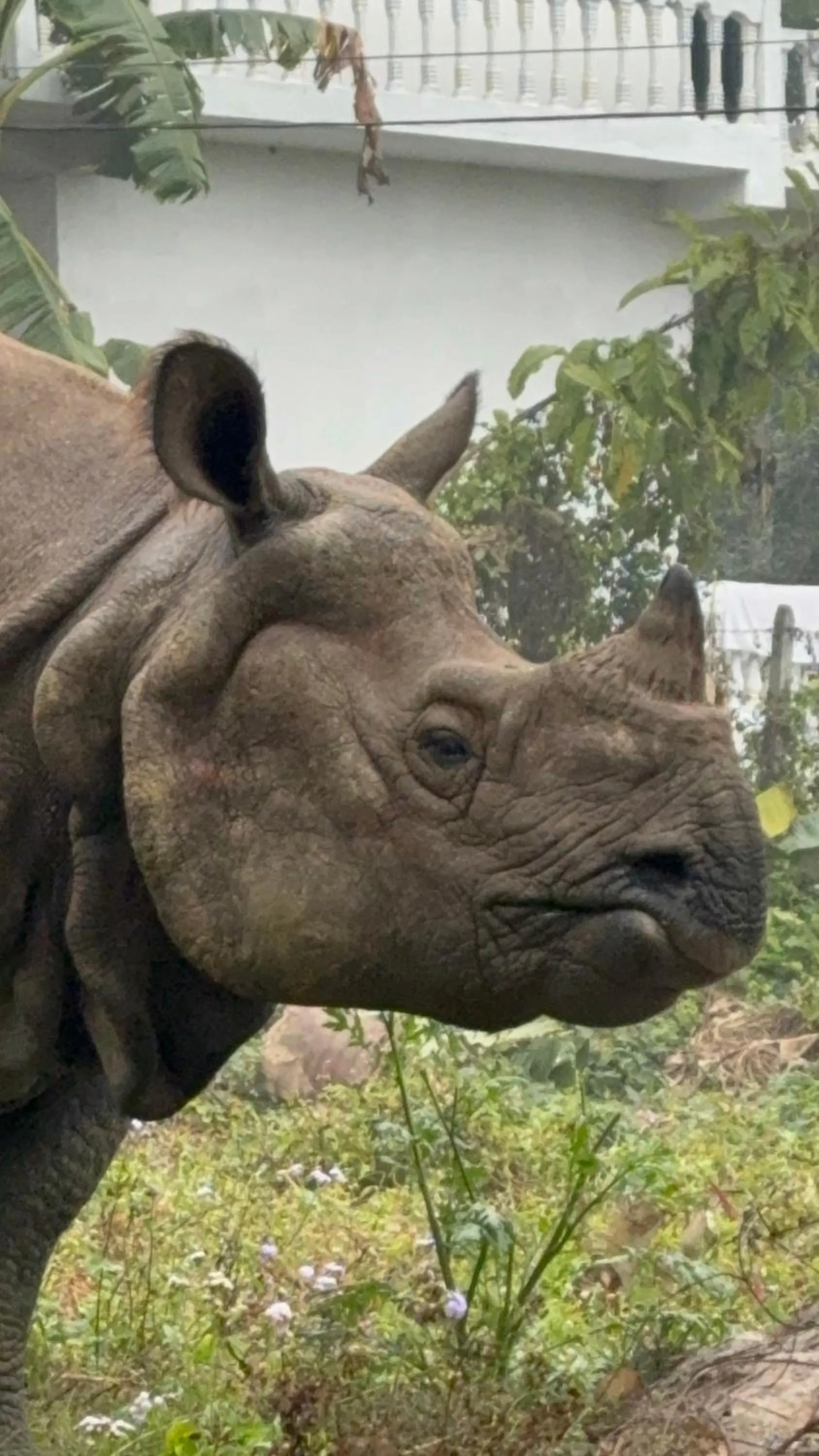 Activities in Chautari Garden Resort