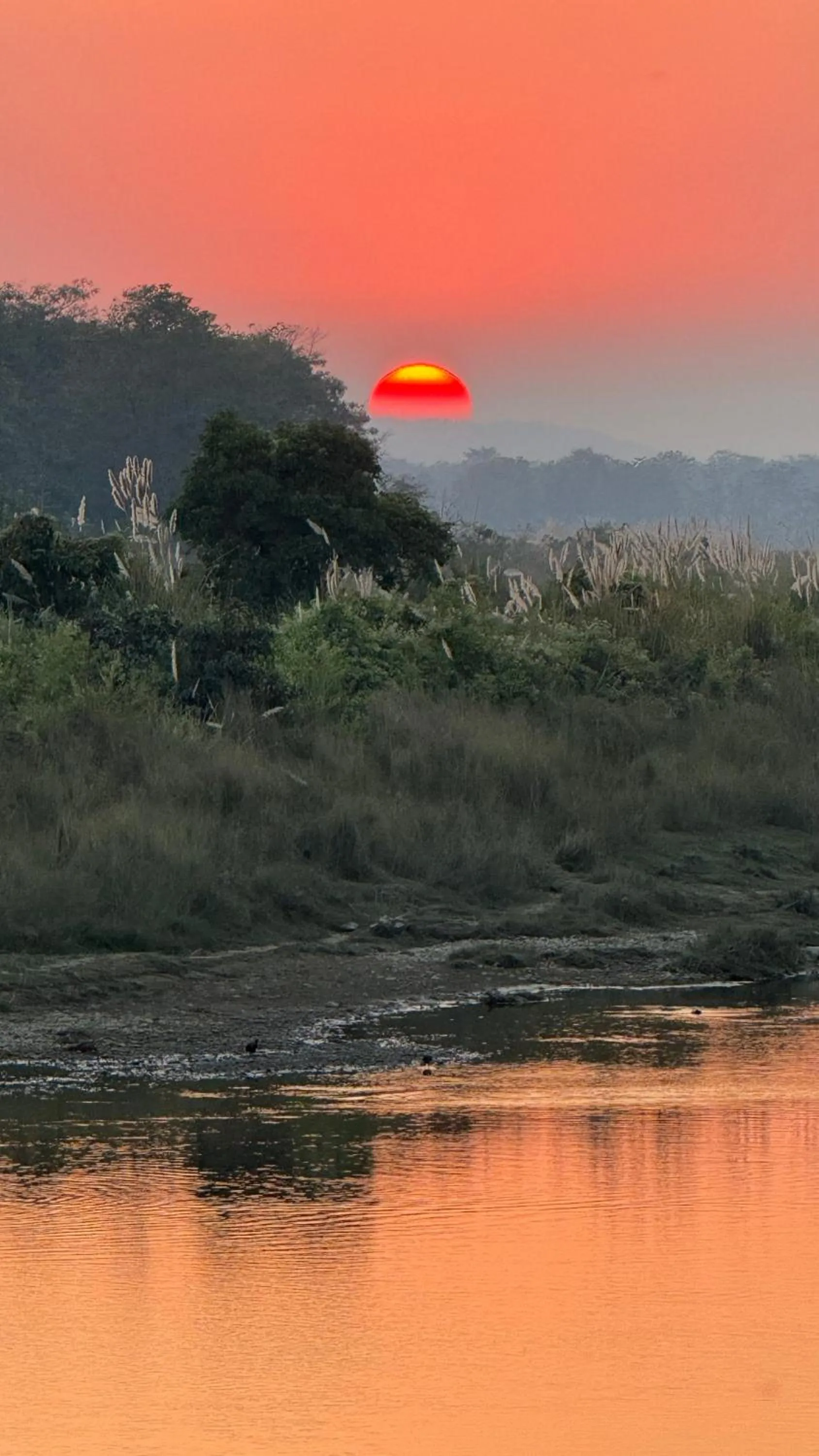 Guests in Chautari Garden Resort