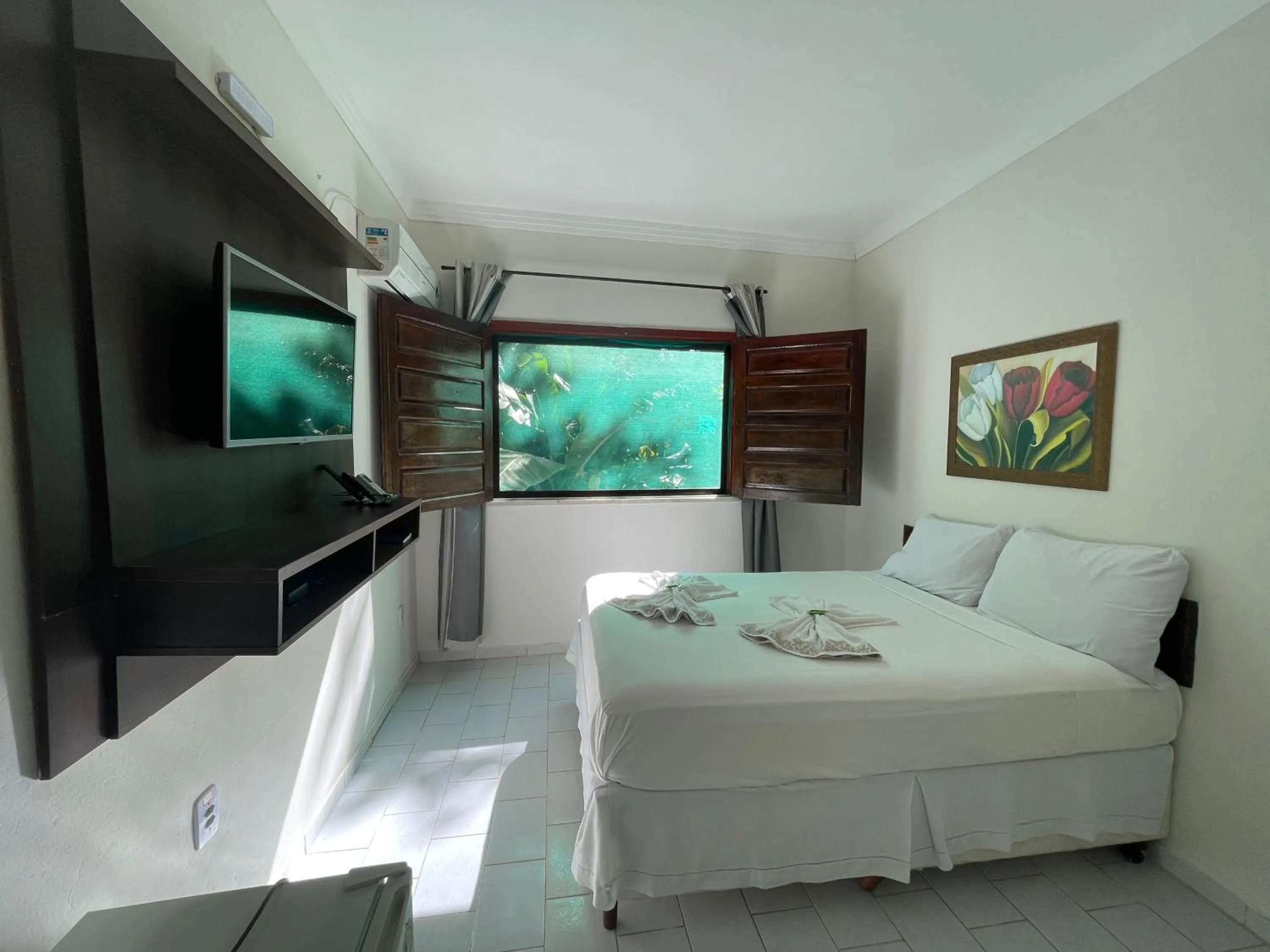 TV and multimedia in Pousada Vôo da Águia