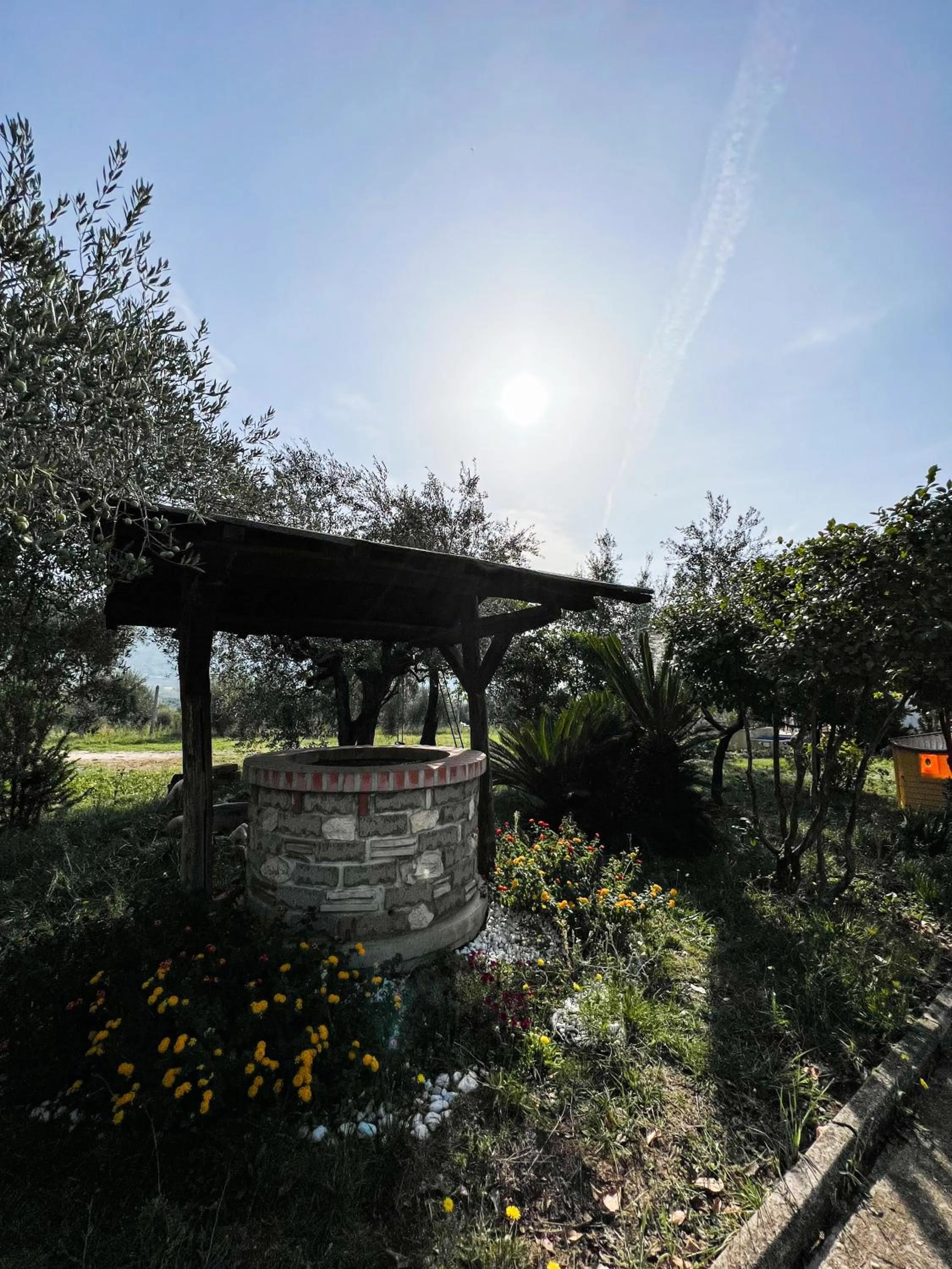 Garden in B&B Nero Buono