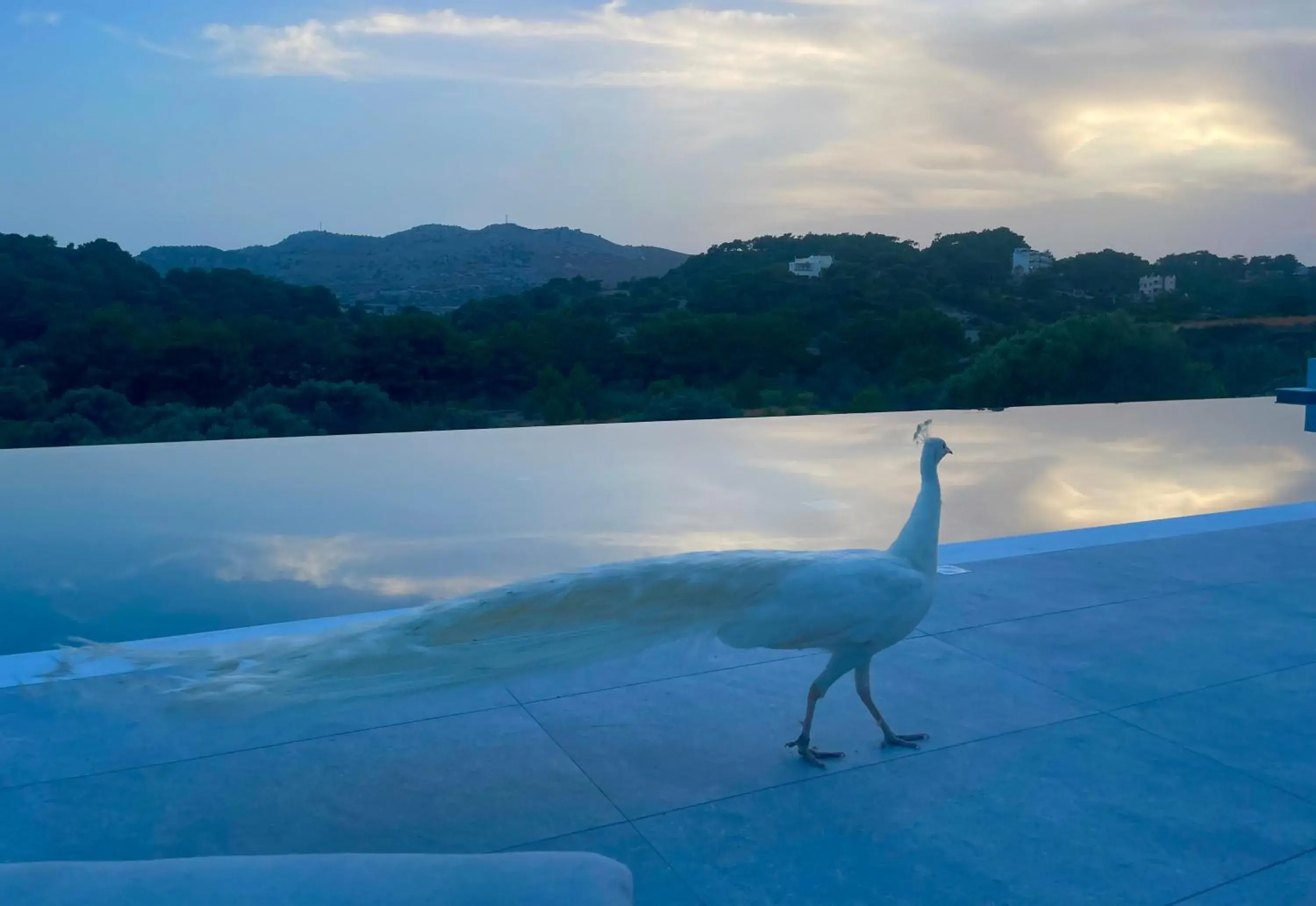 Ano Kampos Hotel Ano Kampos Hotel