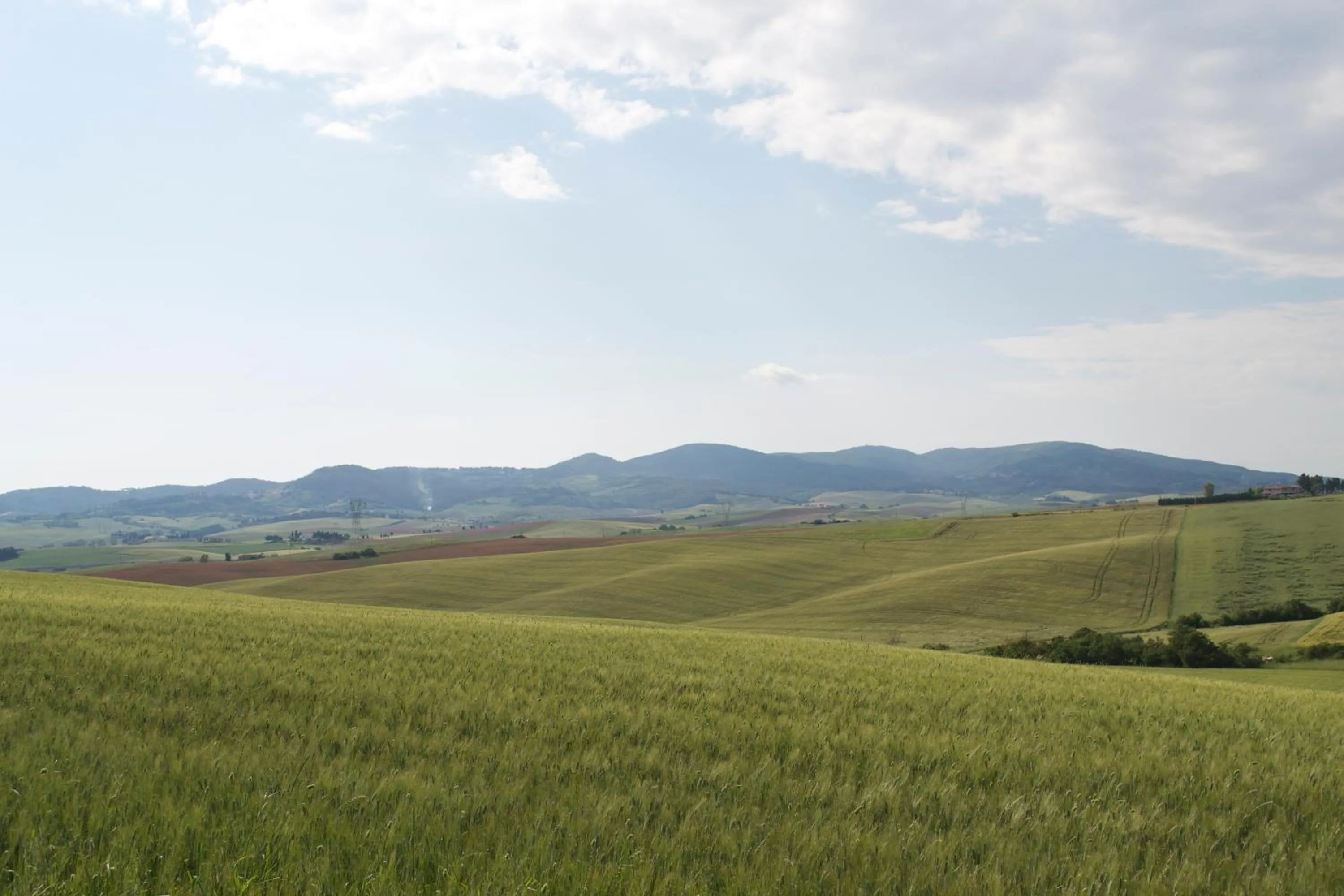 Other in Residence Giuly Rosselmini