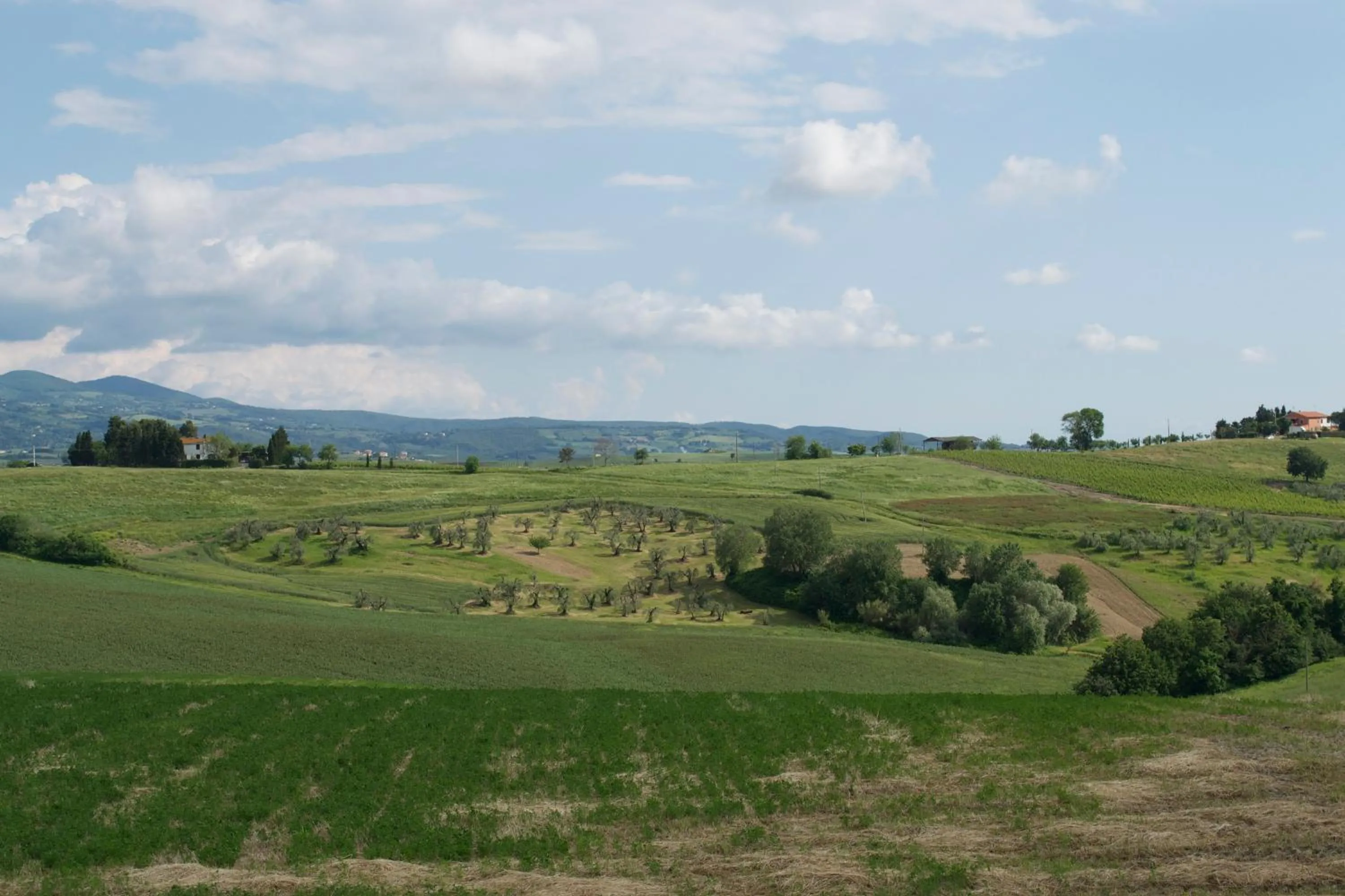 Other in Residence Giuly Rosselmini