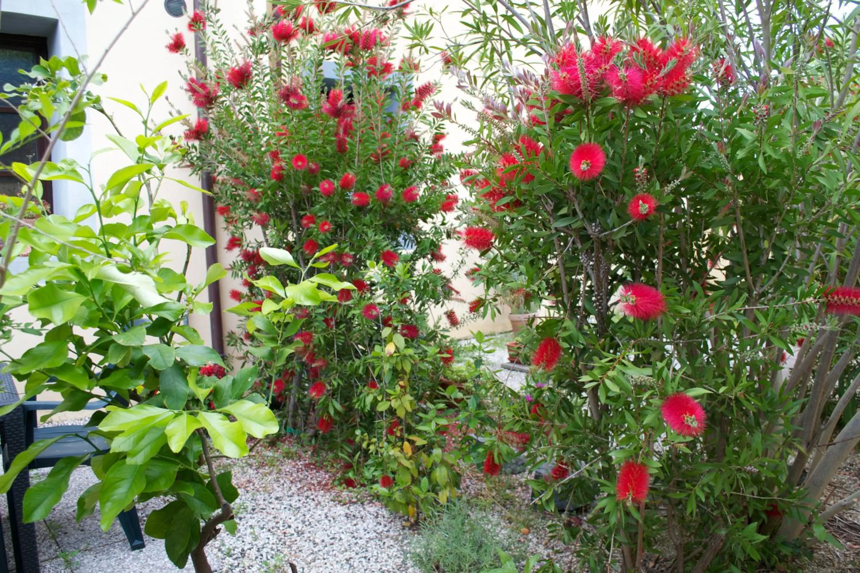 Facade/entrance in Residence Giuly Rosselmini