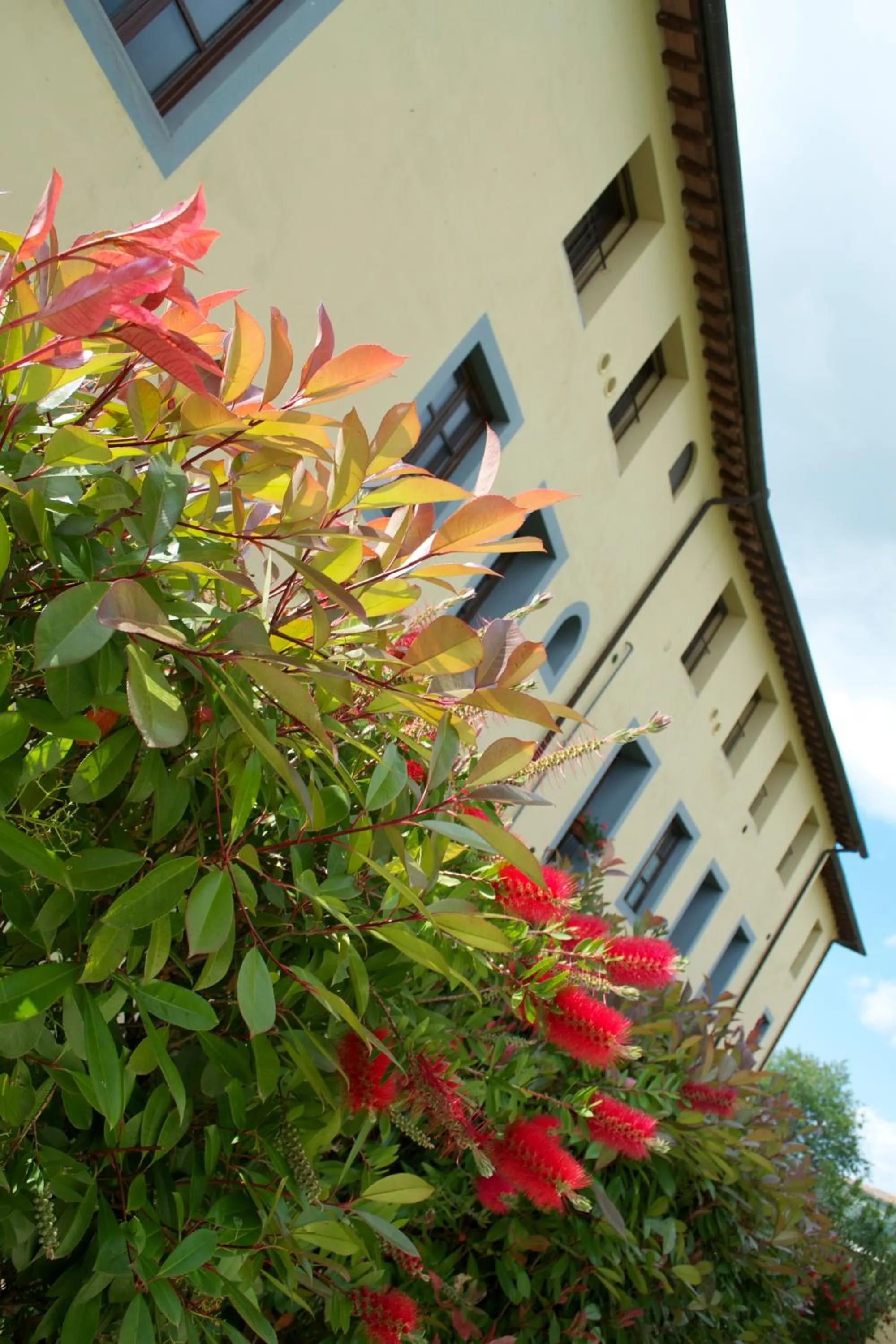 Property building in Residence Giuly Rosselmini