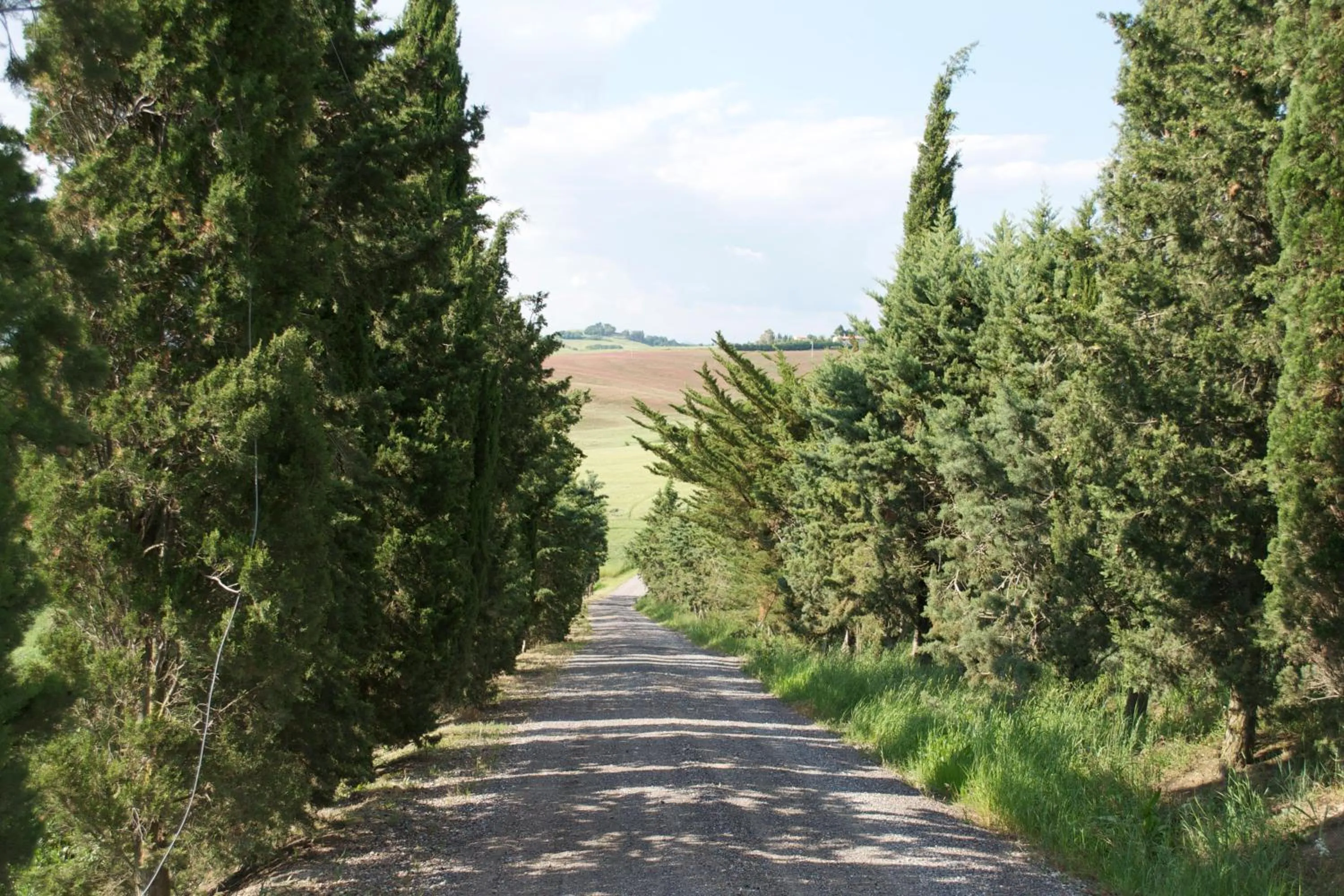 Other in Residence Giuly Rosselmini