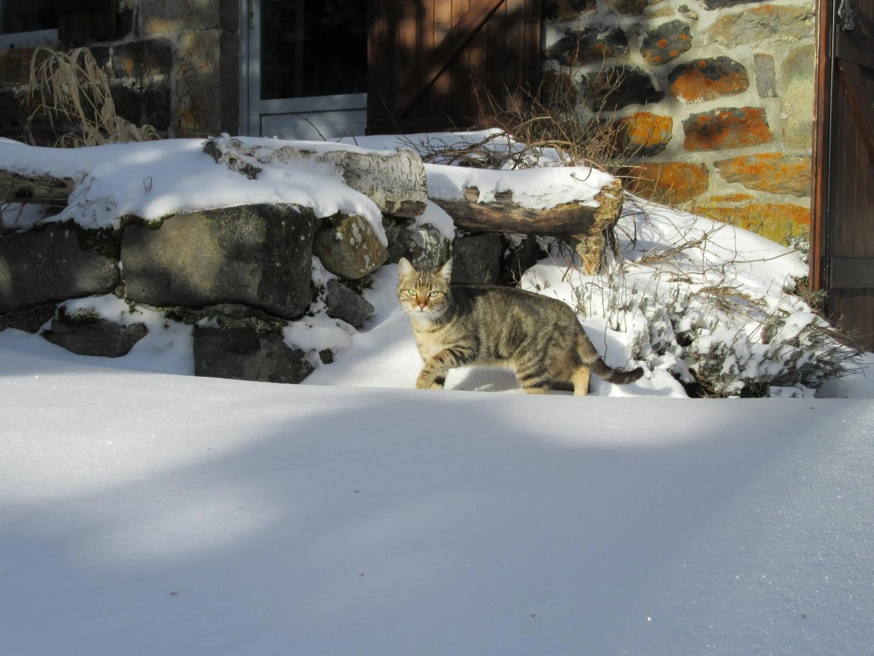 Pets in Bastides Du Mezenc