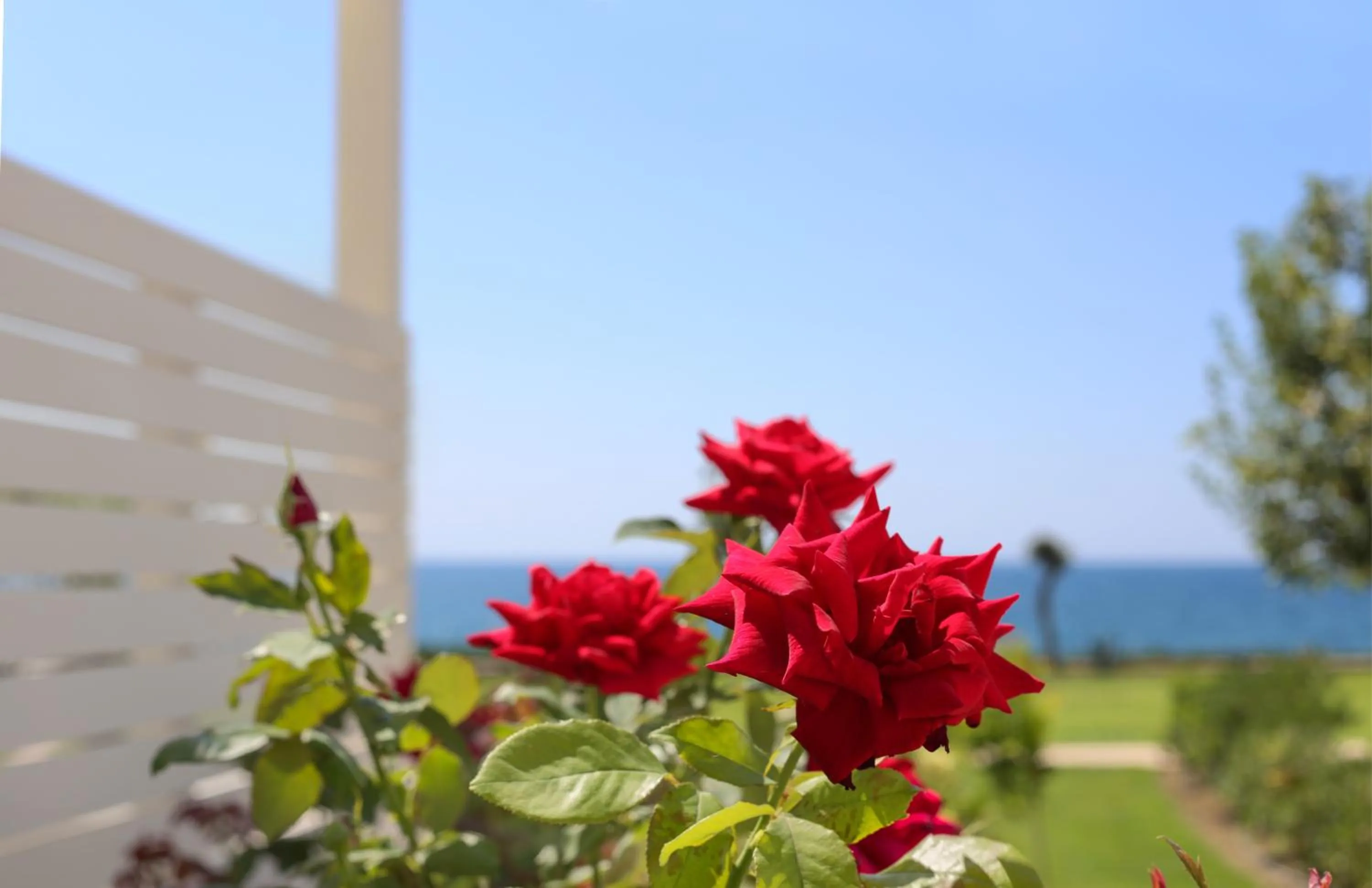 Decorative detail in Mareggio Exclusive Residences & Suites