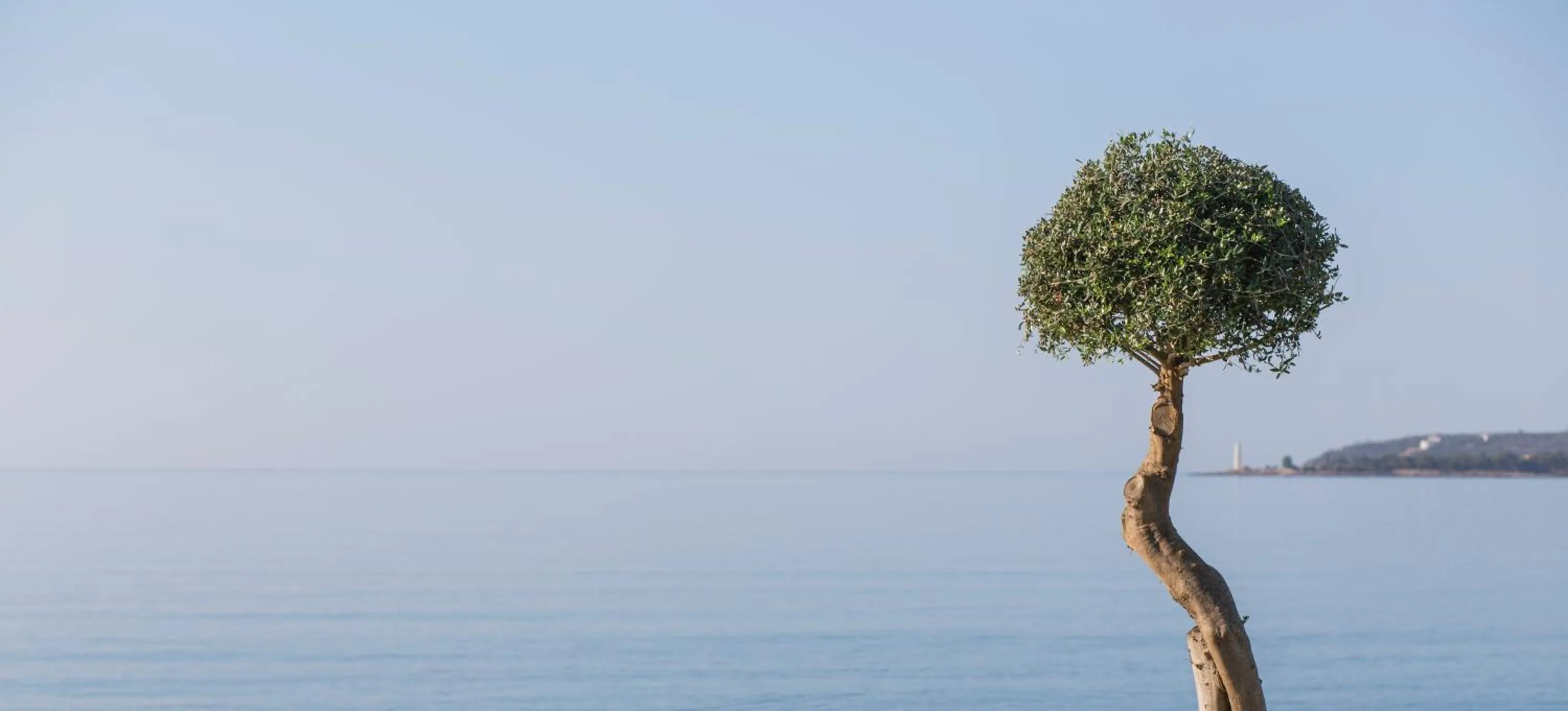 Natural landscape in Mareggio Exclusive Residences & Suites