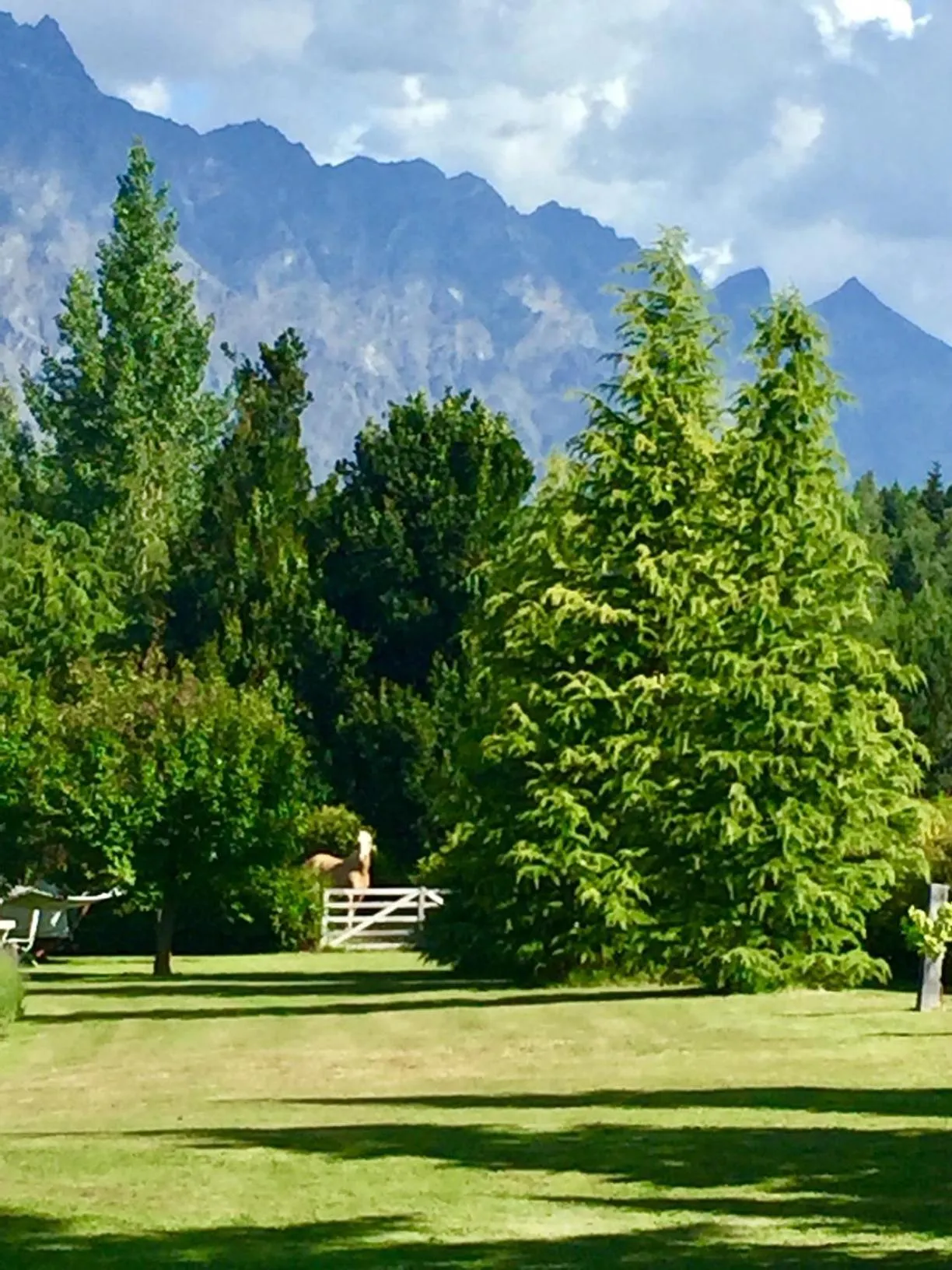 Natural landscape in Three Thirty B & B