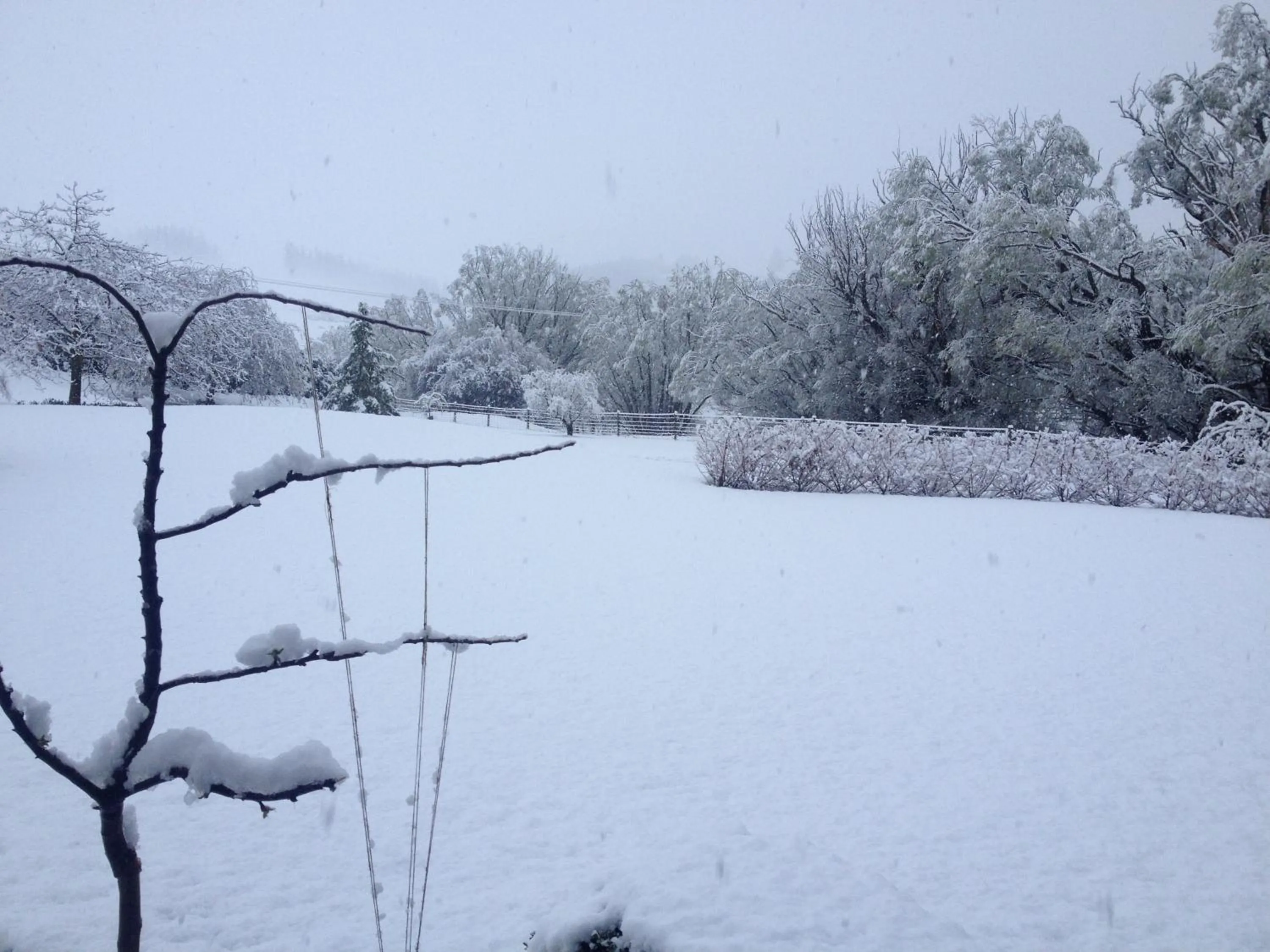 Hot Tub in Three Thirty B & B