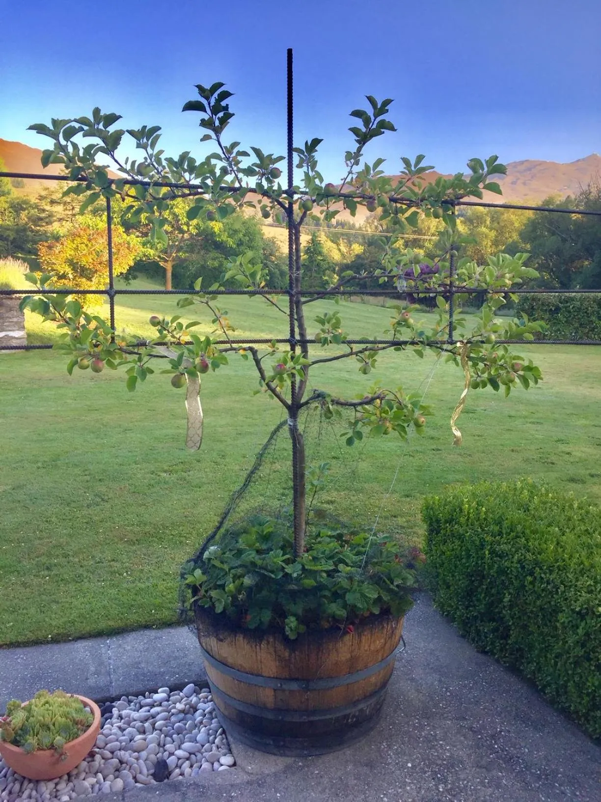 Hot Tub in Three Thirty B & B