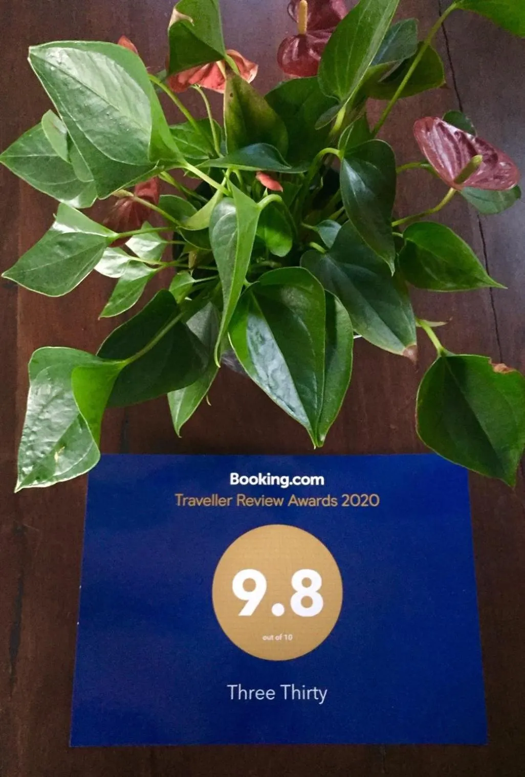 Property logo or sign in Three Thirty B & B