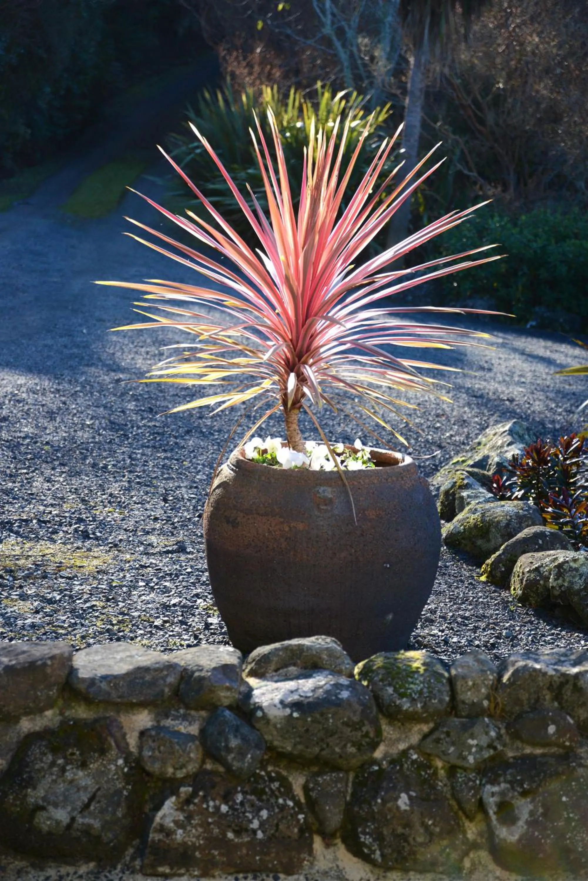 Barn Bed and Breakfast