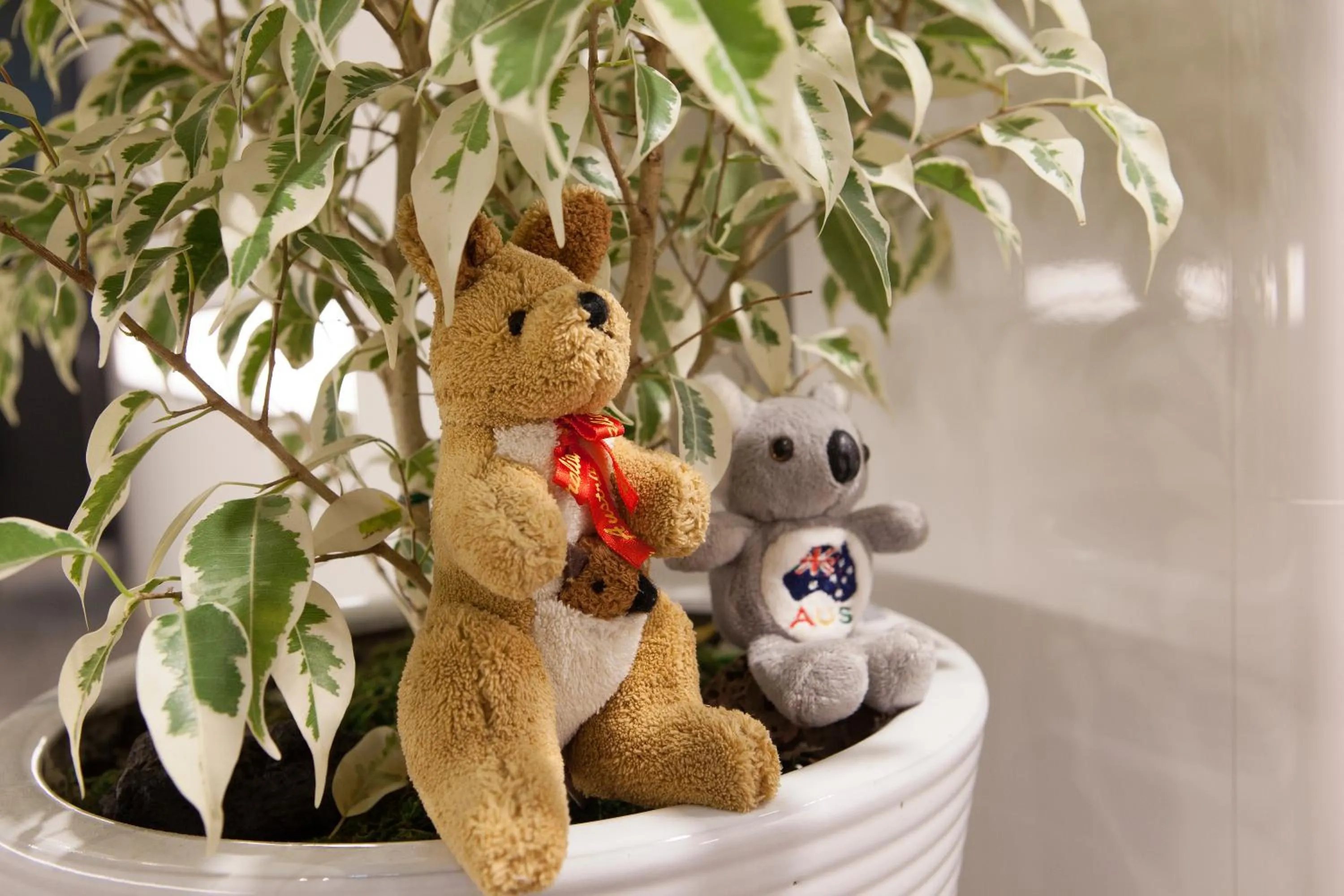 Other in K-Grand Hotel Myeongdong