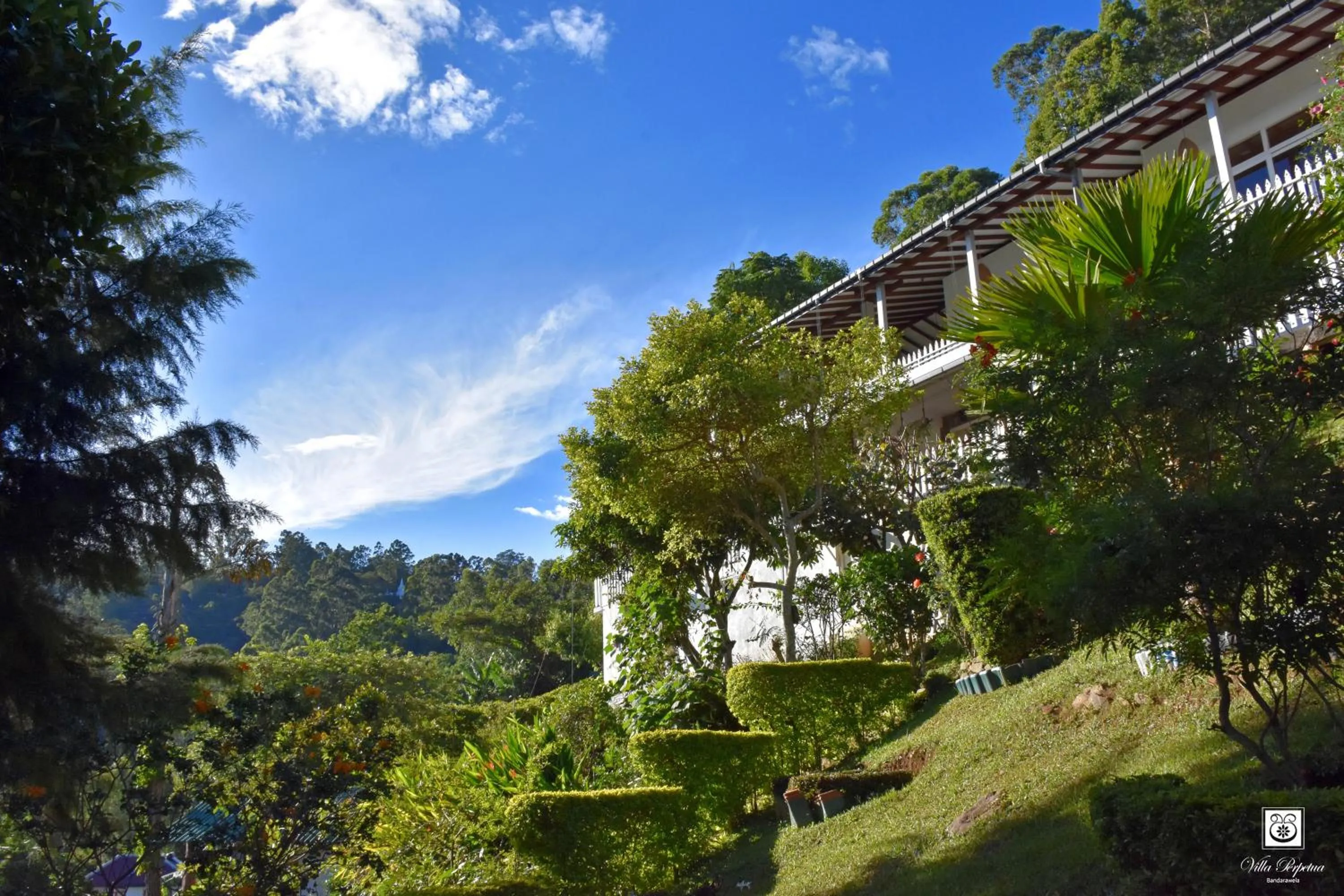 Garden in Villa Perpetua