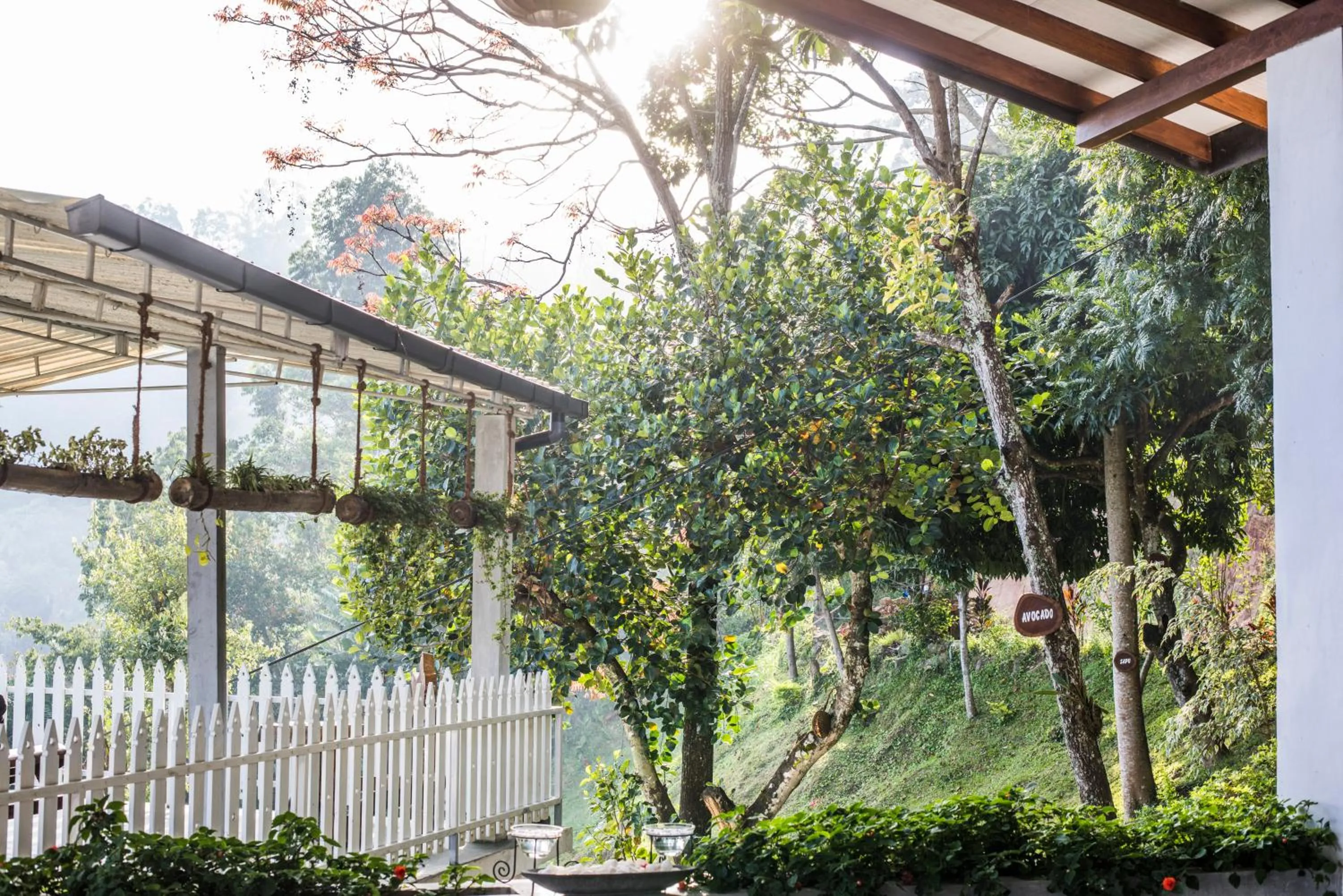 Garden in Villa Perpetua